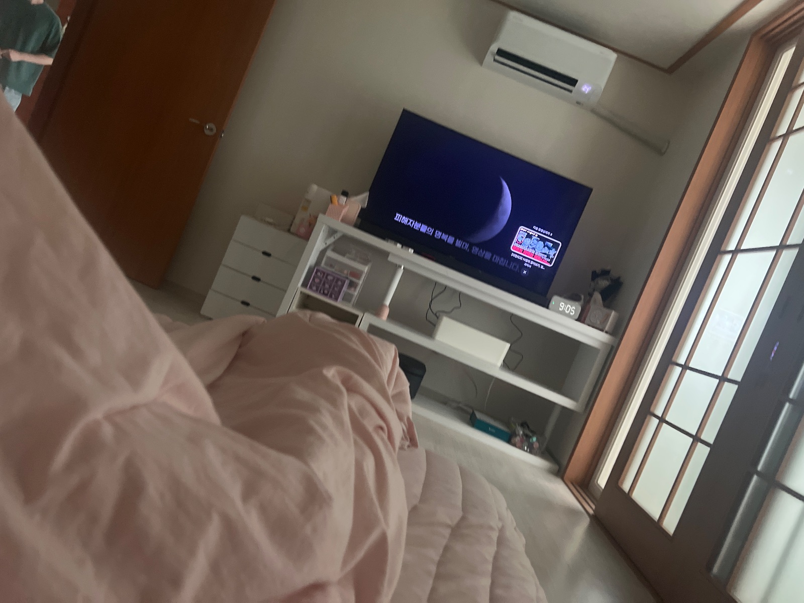 단정한 코스모스 소라게 후기 사진 1