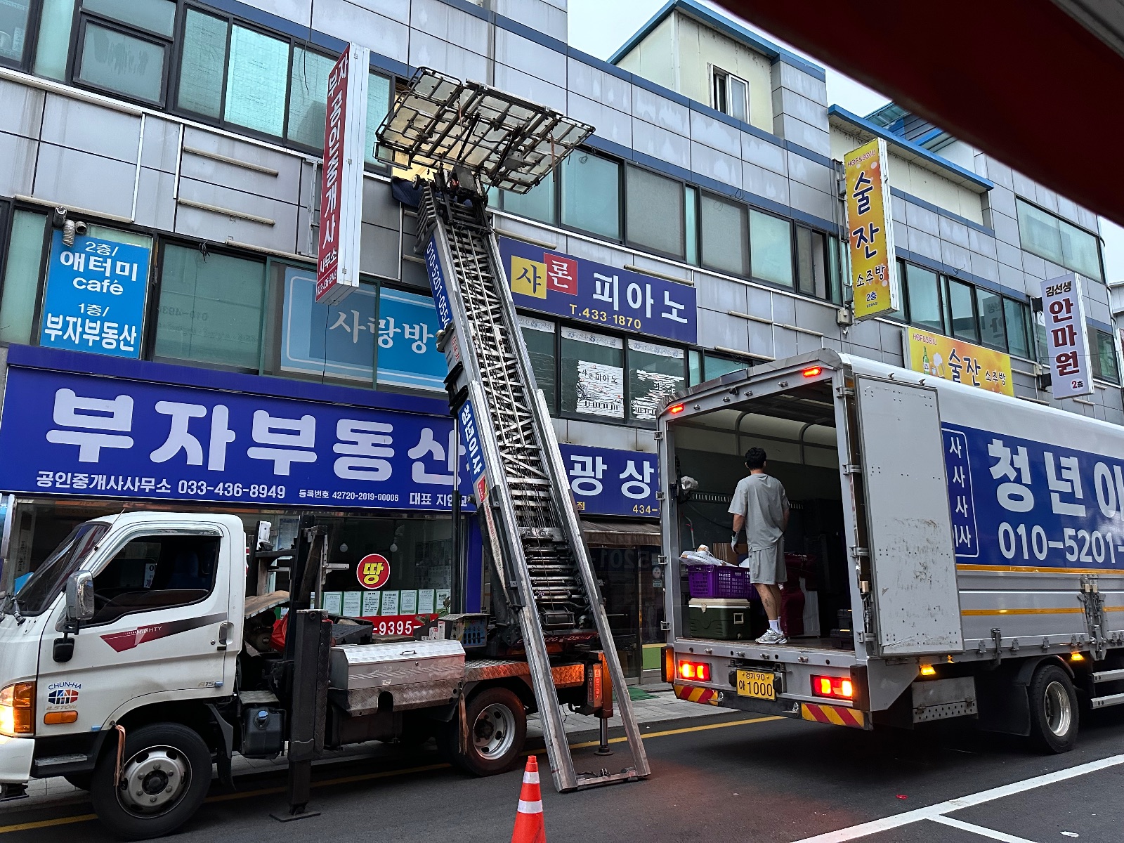 멋진 안개 수달 후기 사진 4