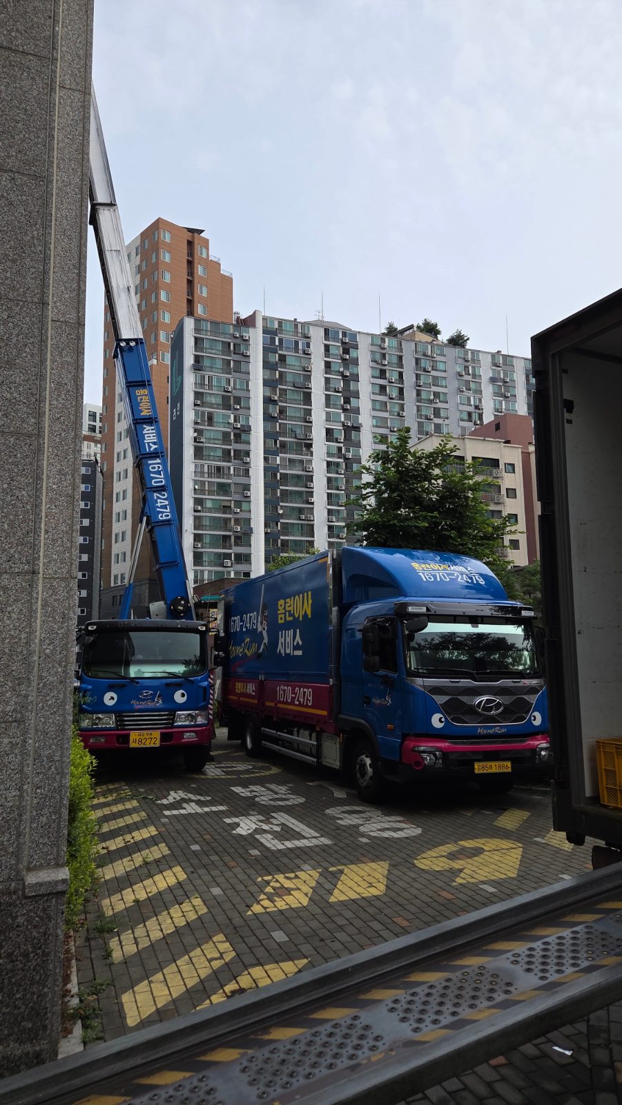 멋진 벚꽃 표범 후기 사진 1