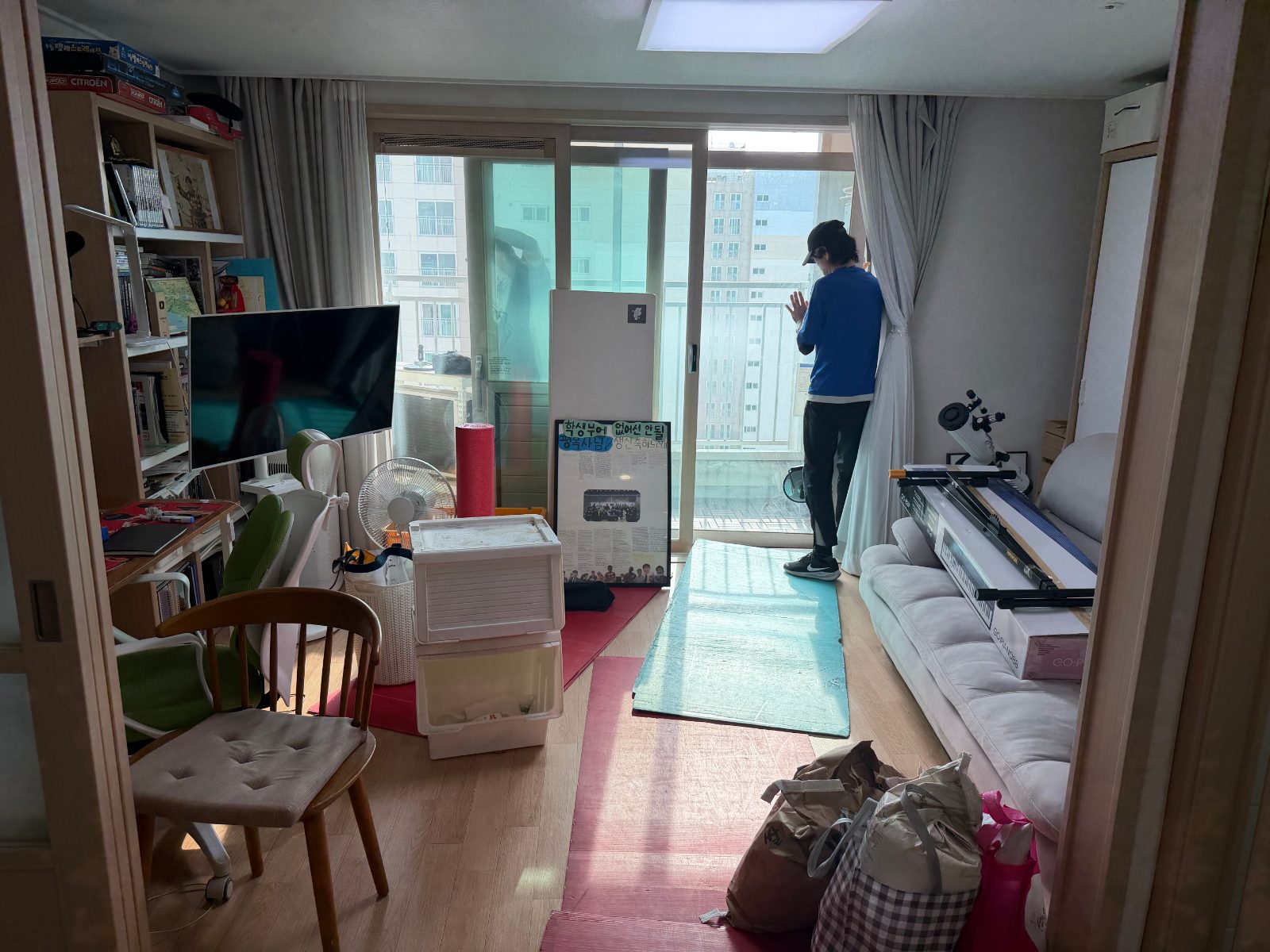 멋진 벚꽃 표범 후기 사진 2