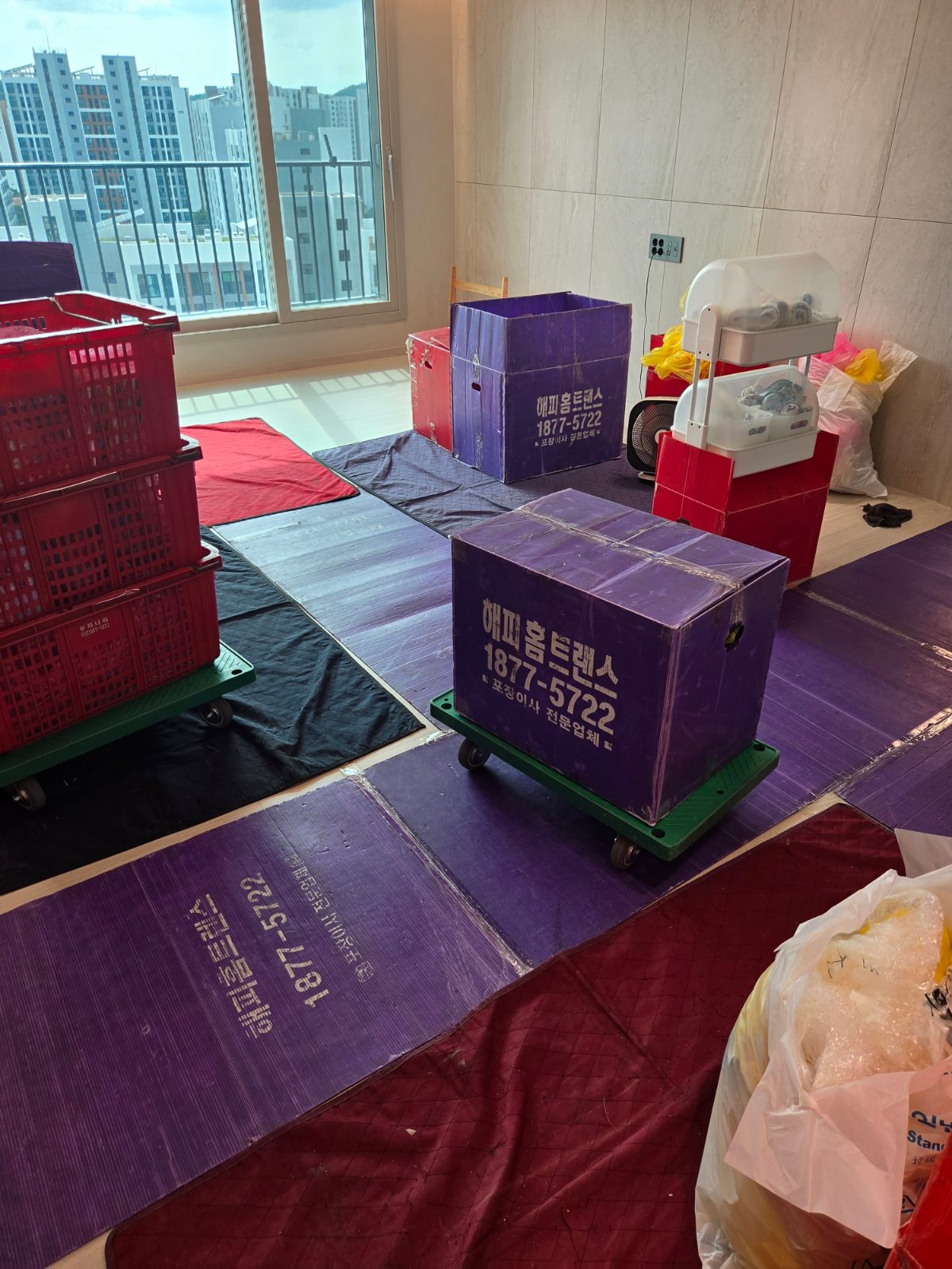 산뜻한 언덕 청설모 후기 사진 2