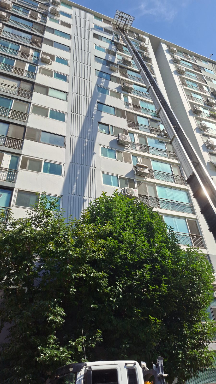 믿음직한 보름달 불가사리 후기 사진 2