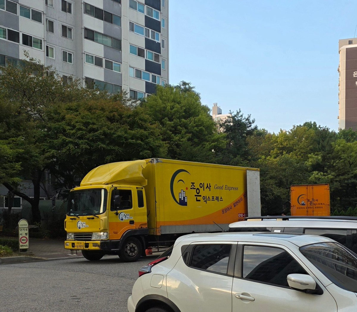 보송한 벚꽃 알파카 후기 사진 1