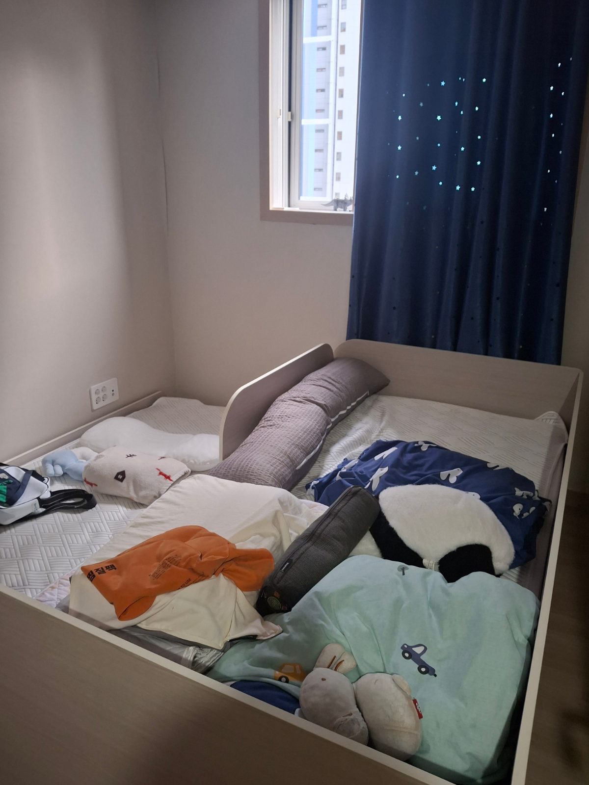 상쾌한 햇살 올빼미 후기 사진 3
