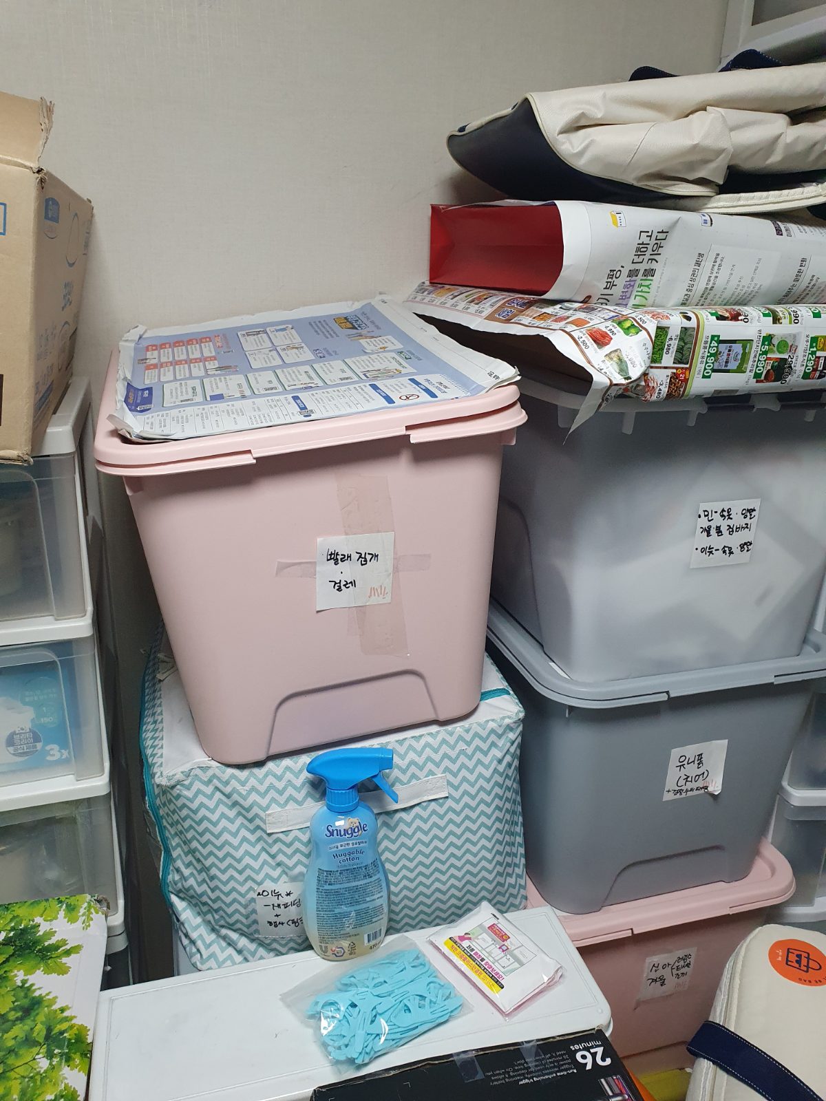 산뜻한 첫눈 청설모 후기 사진 1