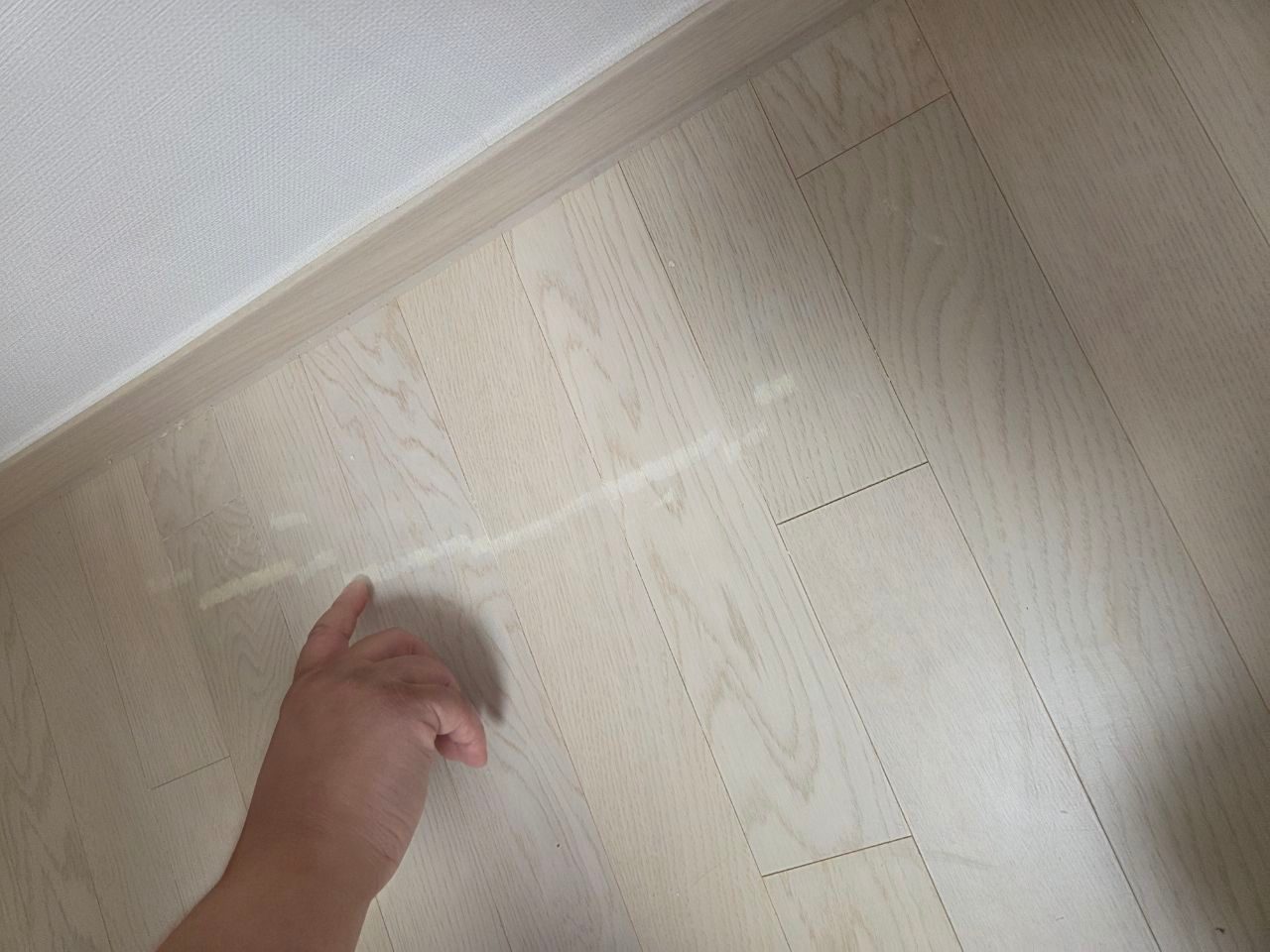 산뜻한 봄비 기린 후기 사진 2