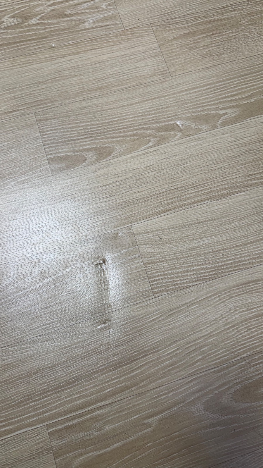 아정당 파트너 212팀 이사 후기 사진 3