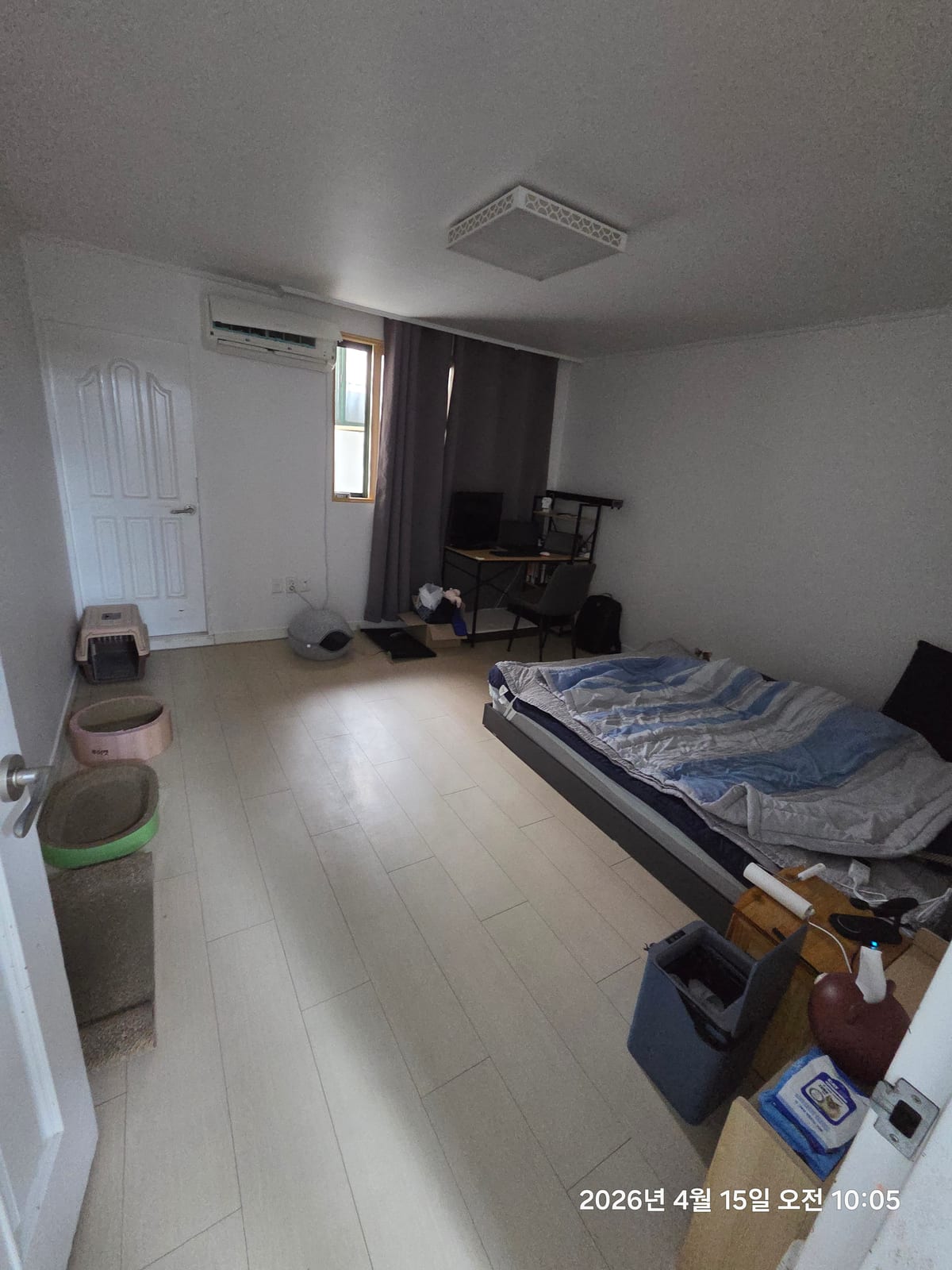 단정한 노을빛 부엉이 후기 사진 1