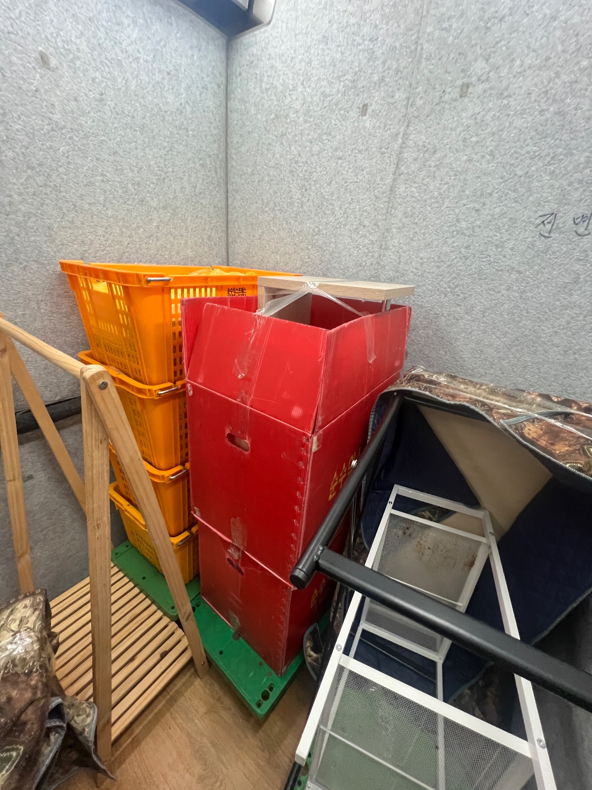 보송한 햇빛 라쿤 후기 사진 1