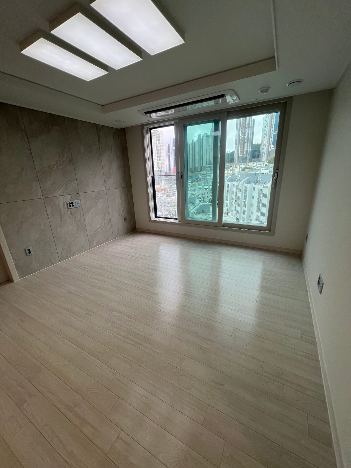 말끔한 해바라기 소라게 후기 사진 1