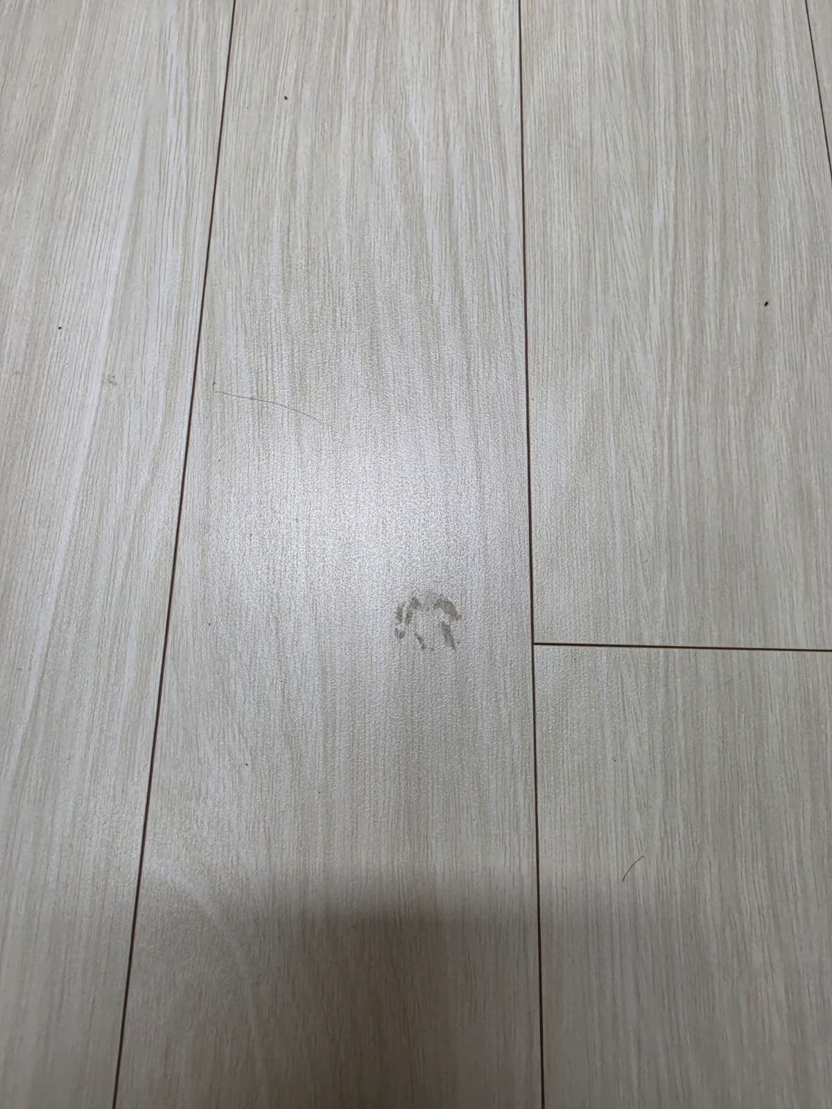 반듯한 폭포 치타 후기 사진 1