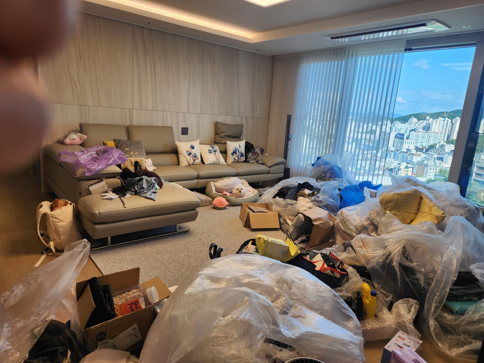 폭신한 잔디 햄스터 후기 사진 4