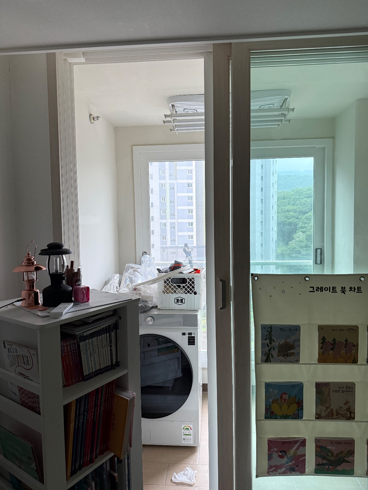 멋진 연꽃 강아지 후기 사진 1