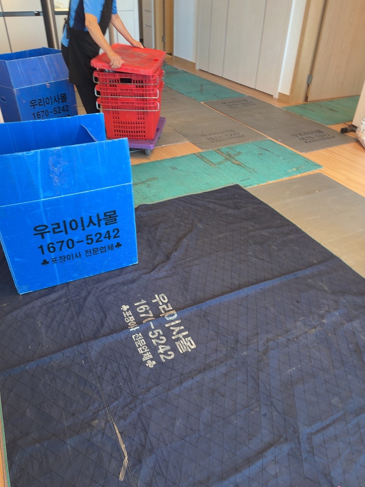꼼꼼한 파도 청설모 후기 사진 1