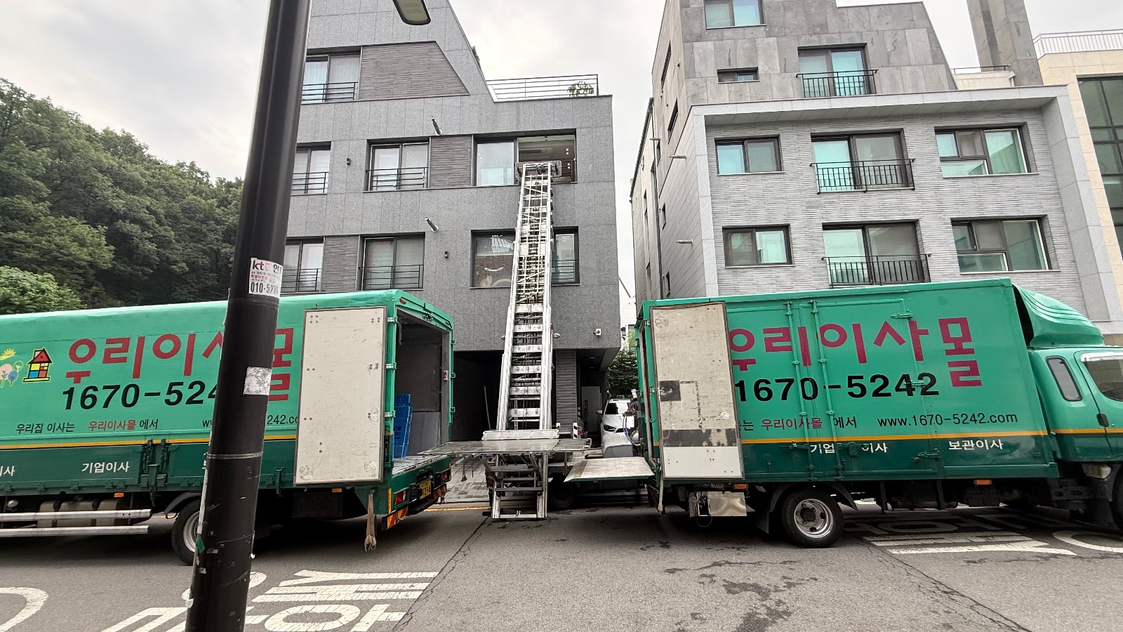 포근한 갈대 거북이 후기 사진 1