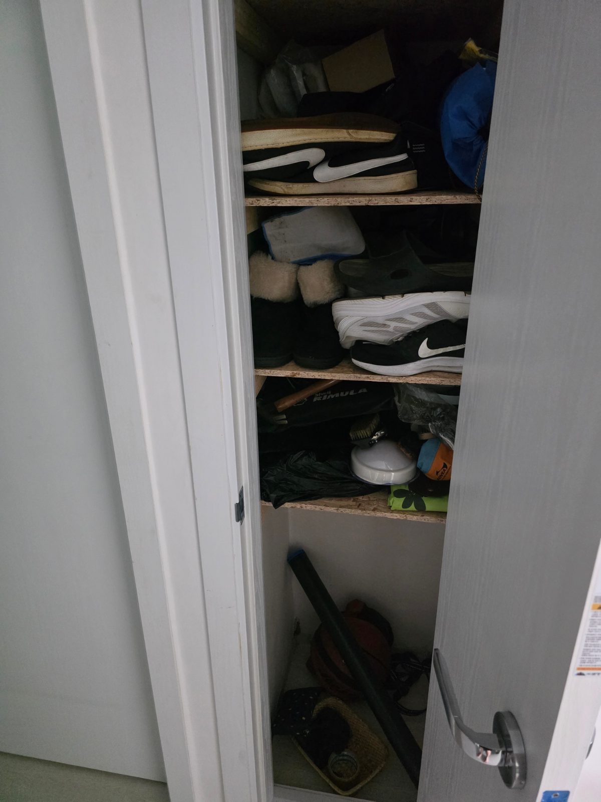 해맑은 갈대 미어캣 후기 사진 1