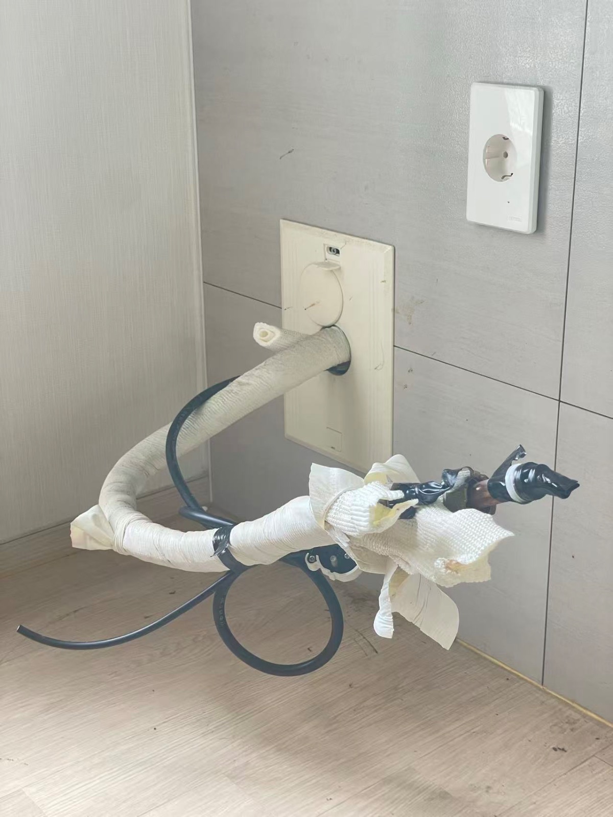 다부진 해바라기 두더지 후기 사진 1