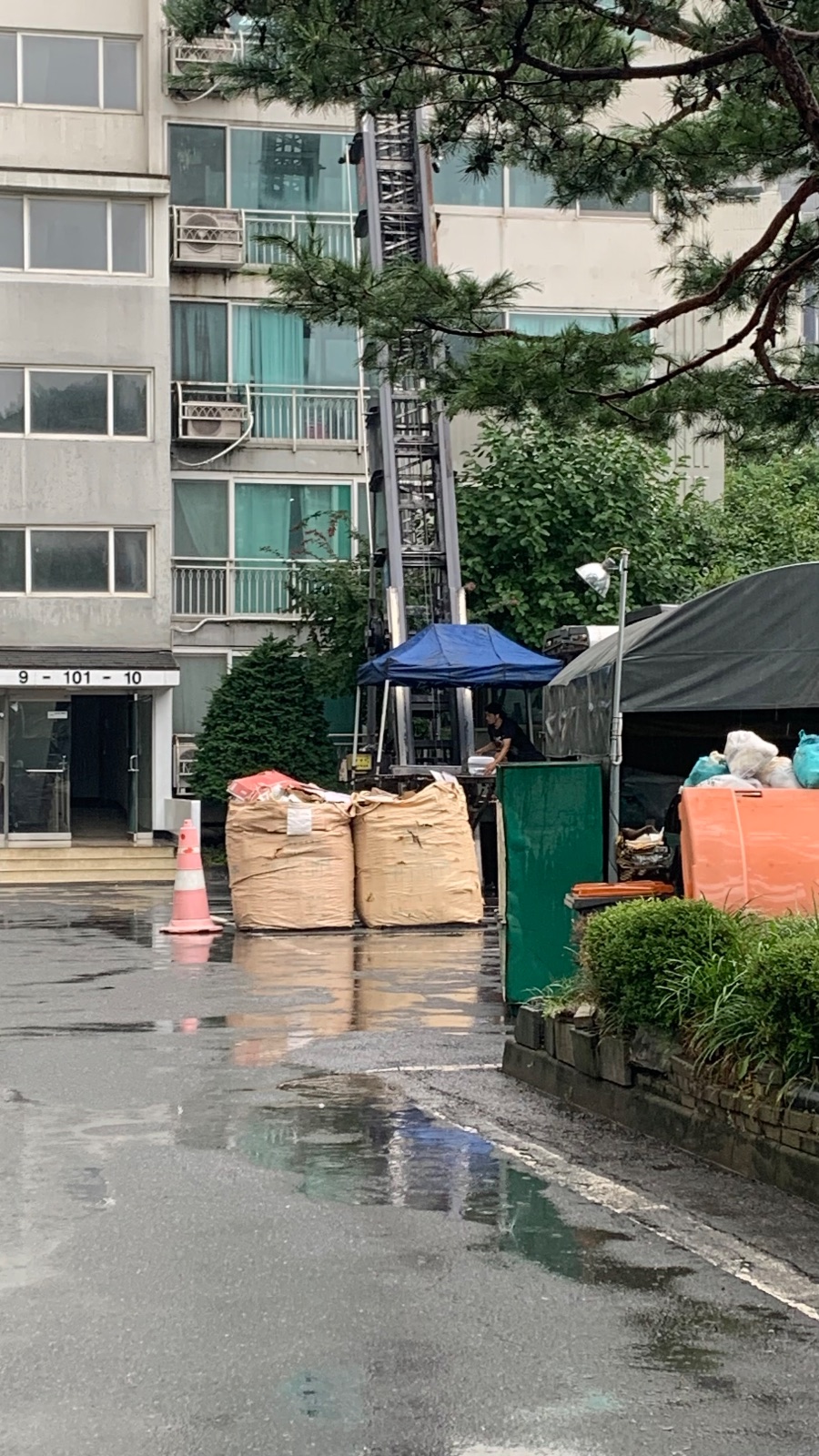 야무진 연꽃 호랑이 후기 사진 1