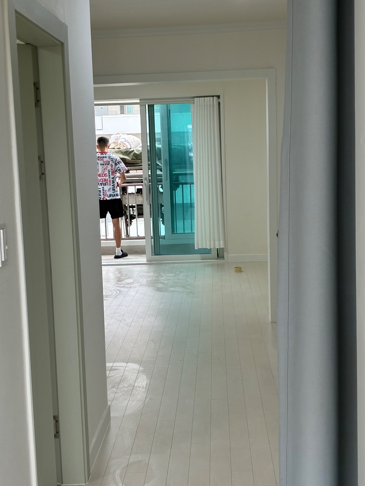 상쾌한 산들 고양이 후기 사진 3
