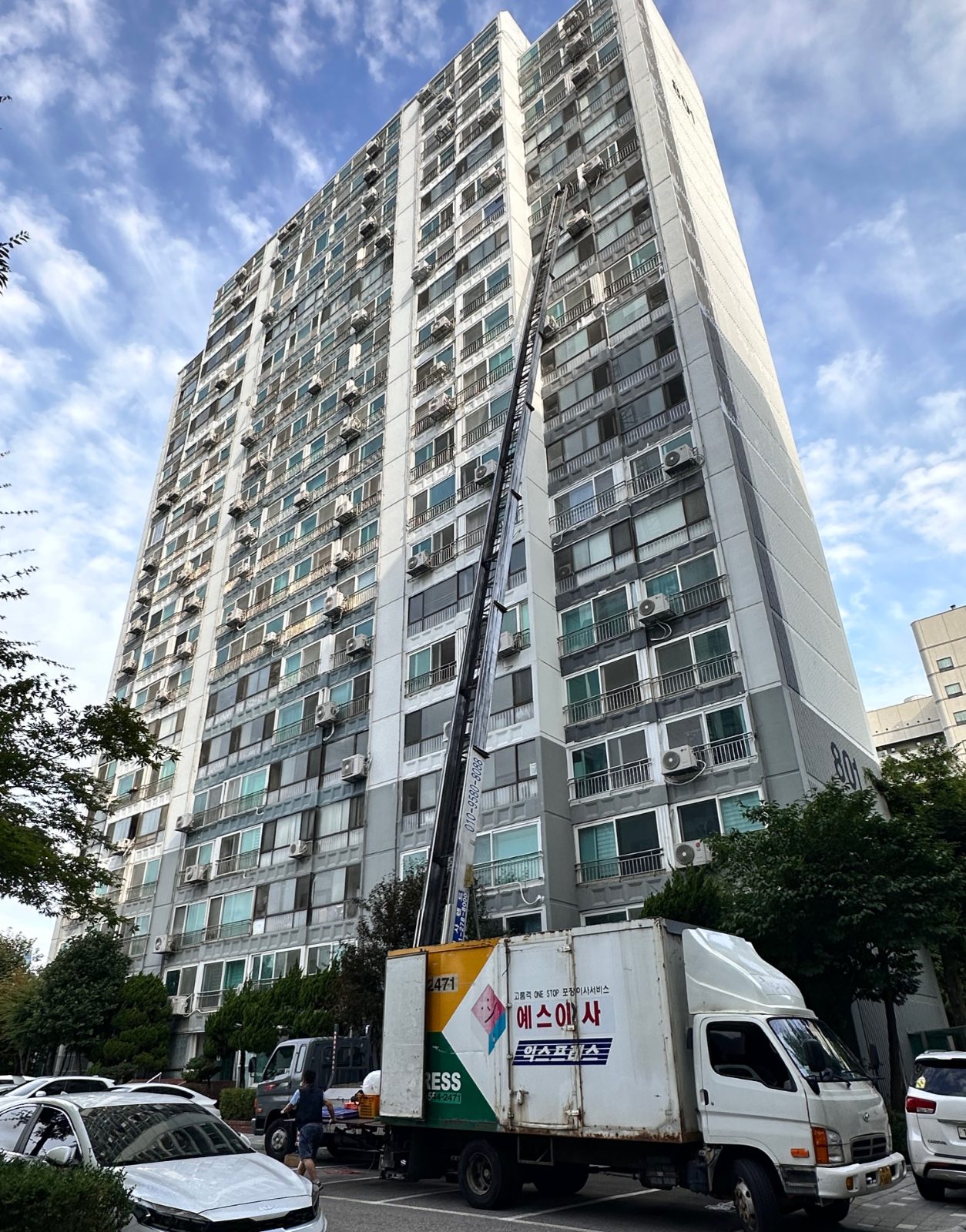 활기찬 햇빛 거북이 후기 사진 2