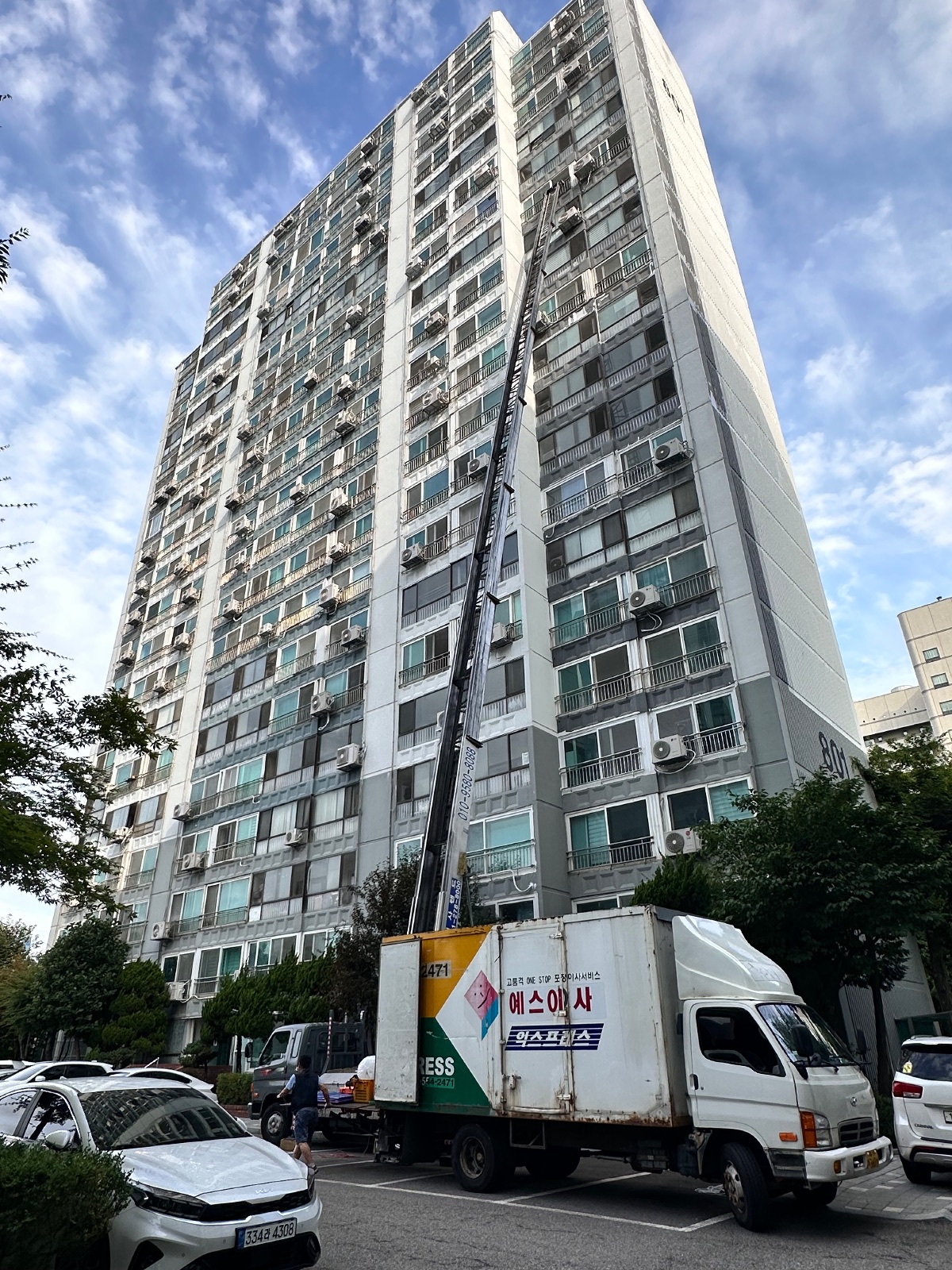 산뜻한 코스모스 토끼 후기 사진 2