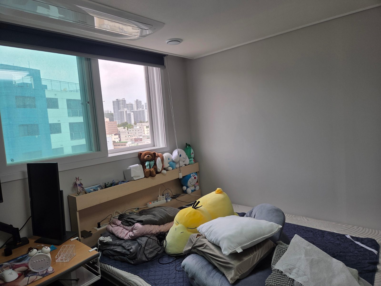 화사한 산들 토끼 후기 사진 2