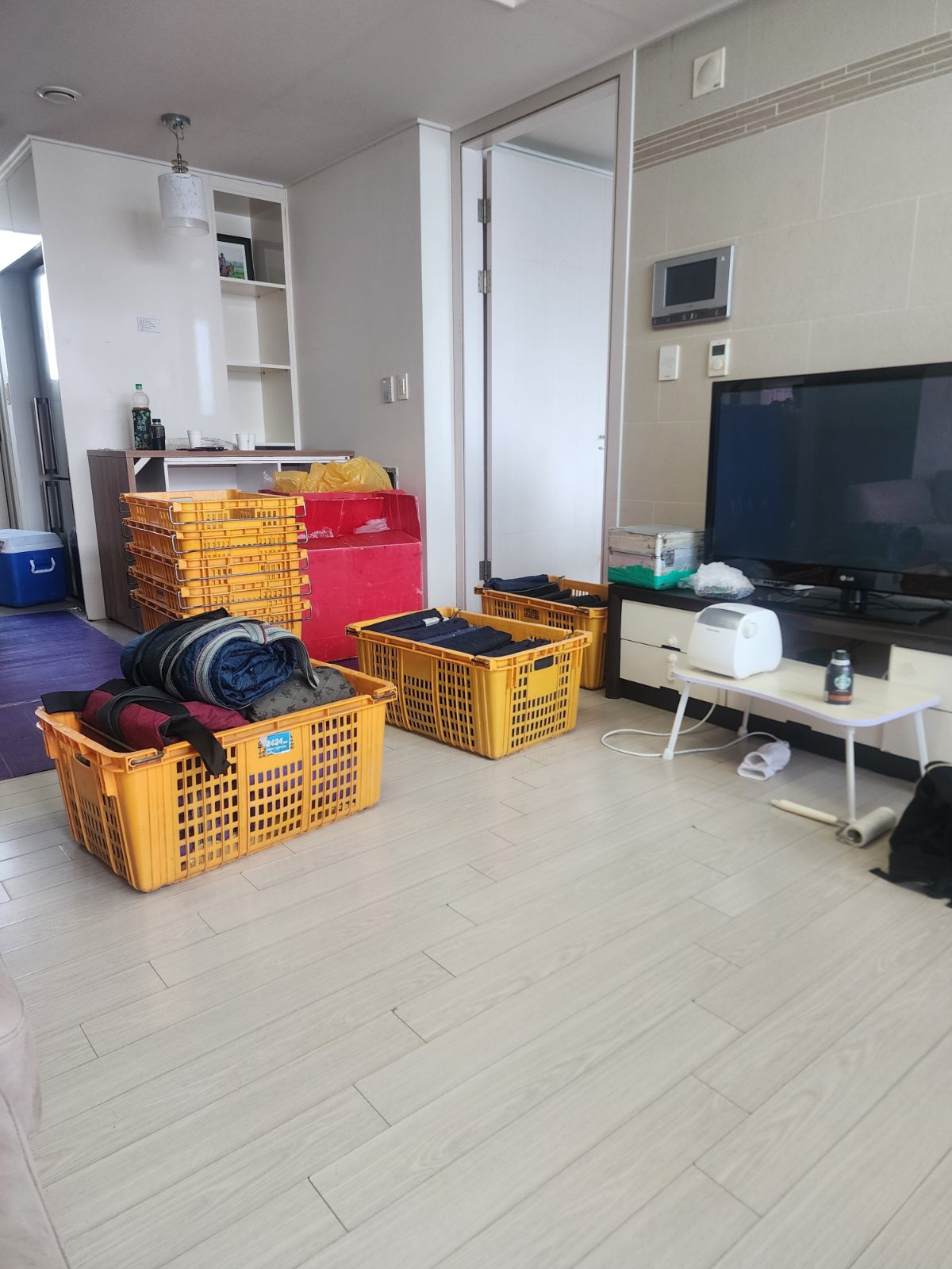 즐거운 햇살 치타 후기 사진 1