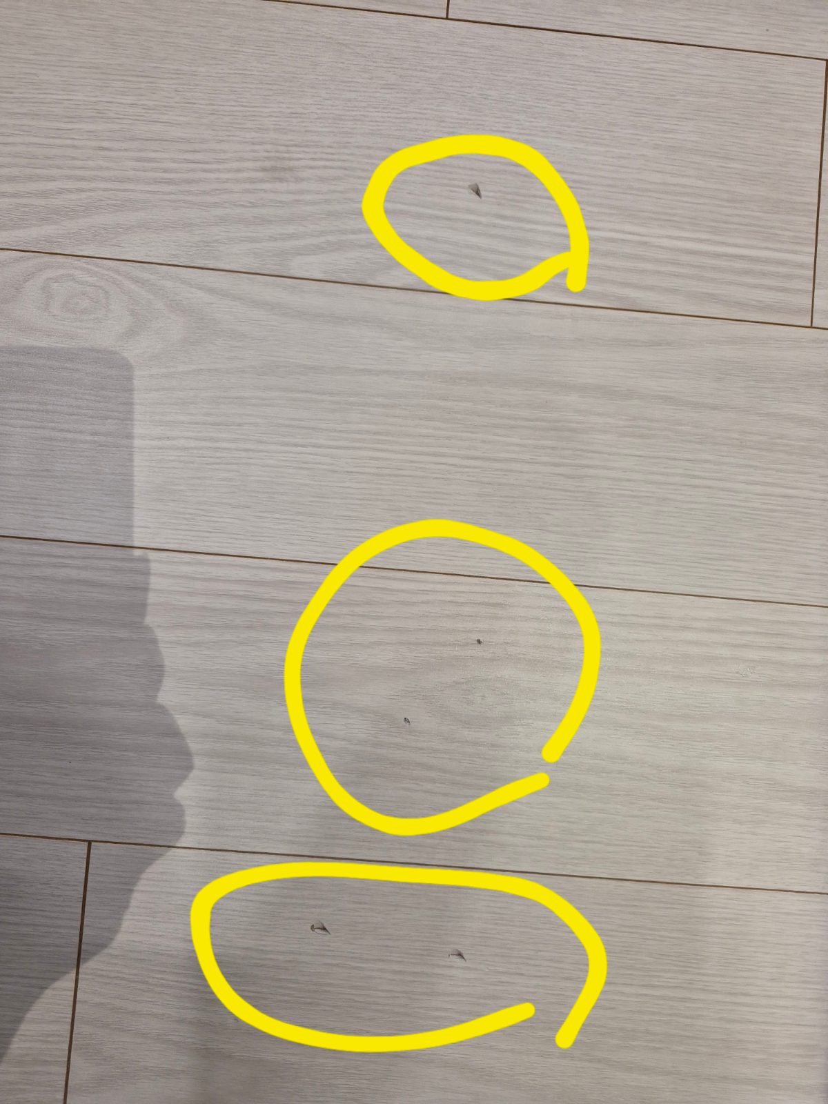 귀여운 별 두루미 후기 사진 1