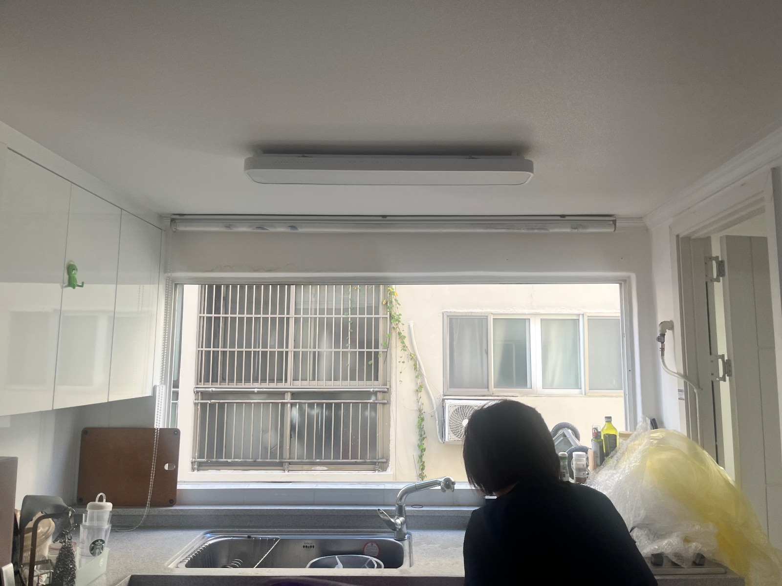성실한 억새 햄스터 후기 사진 2