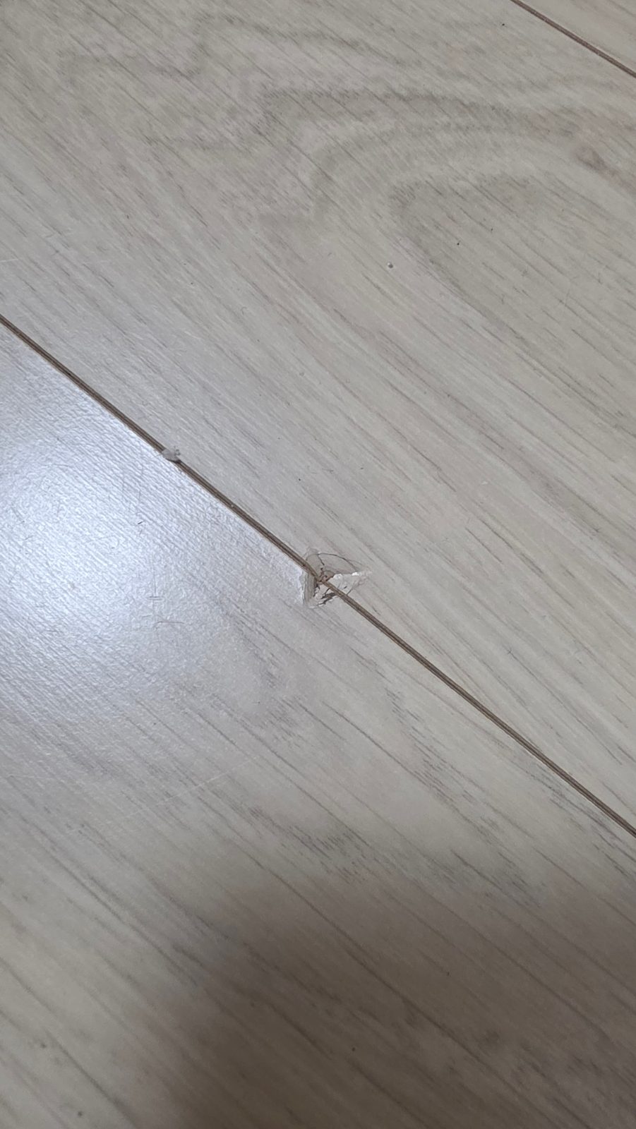 깨끗한 햇살 가오리 후기 사진 1