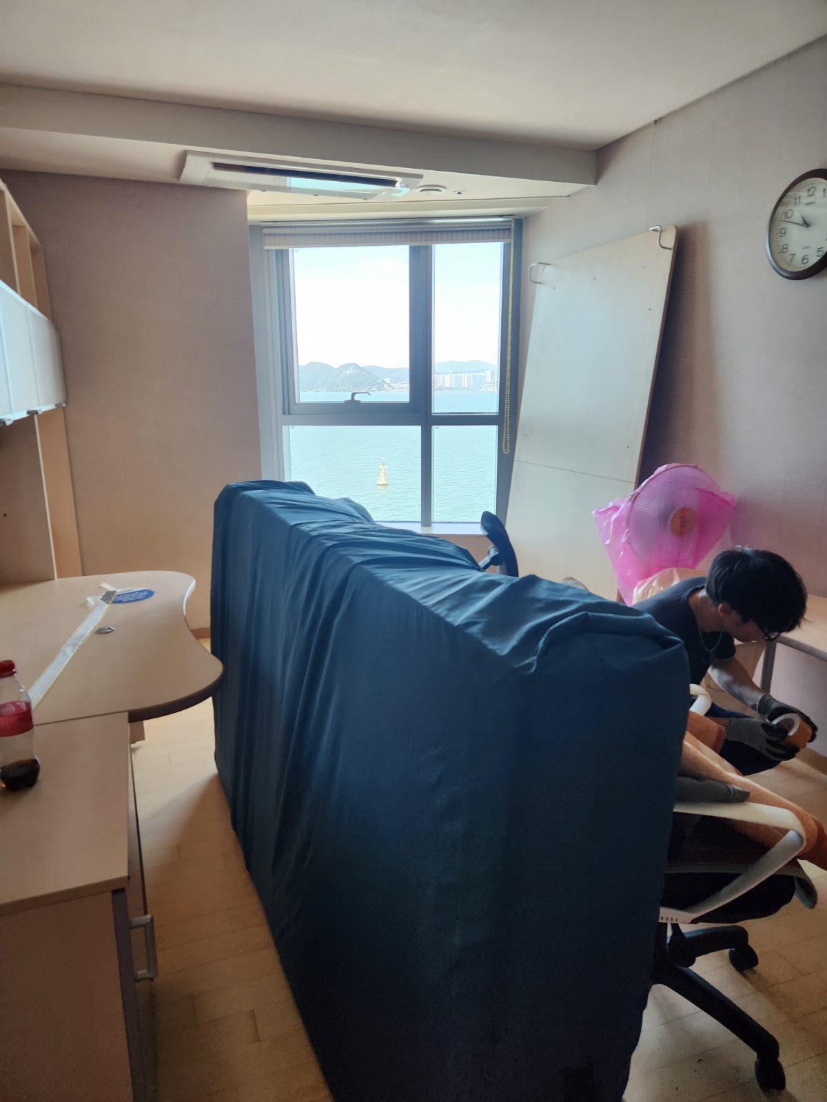 푸근한 대나무 호랑이 후기 사진 1
