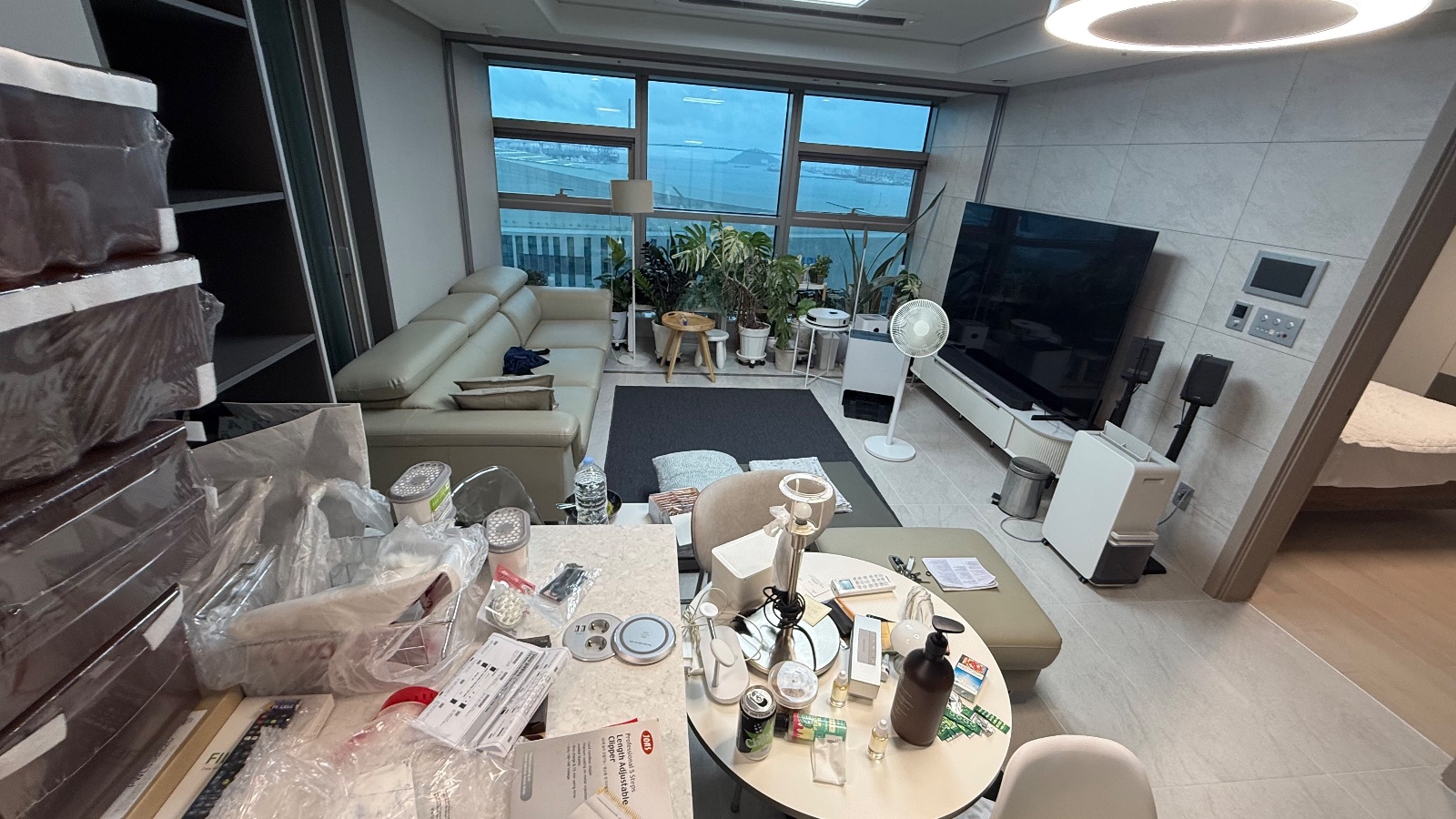 청량한 벚꽃 코알라 후기 사진 2