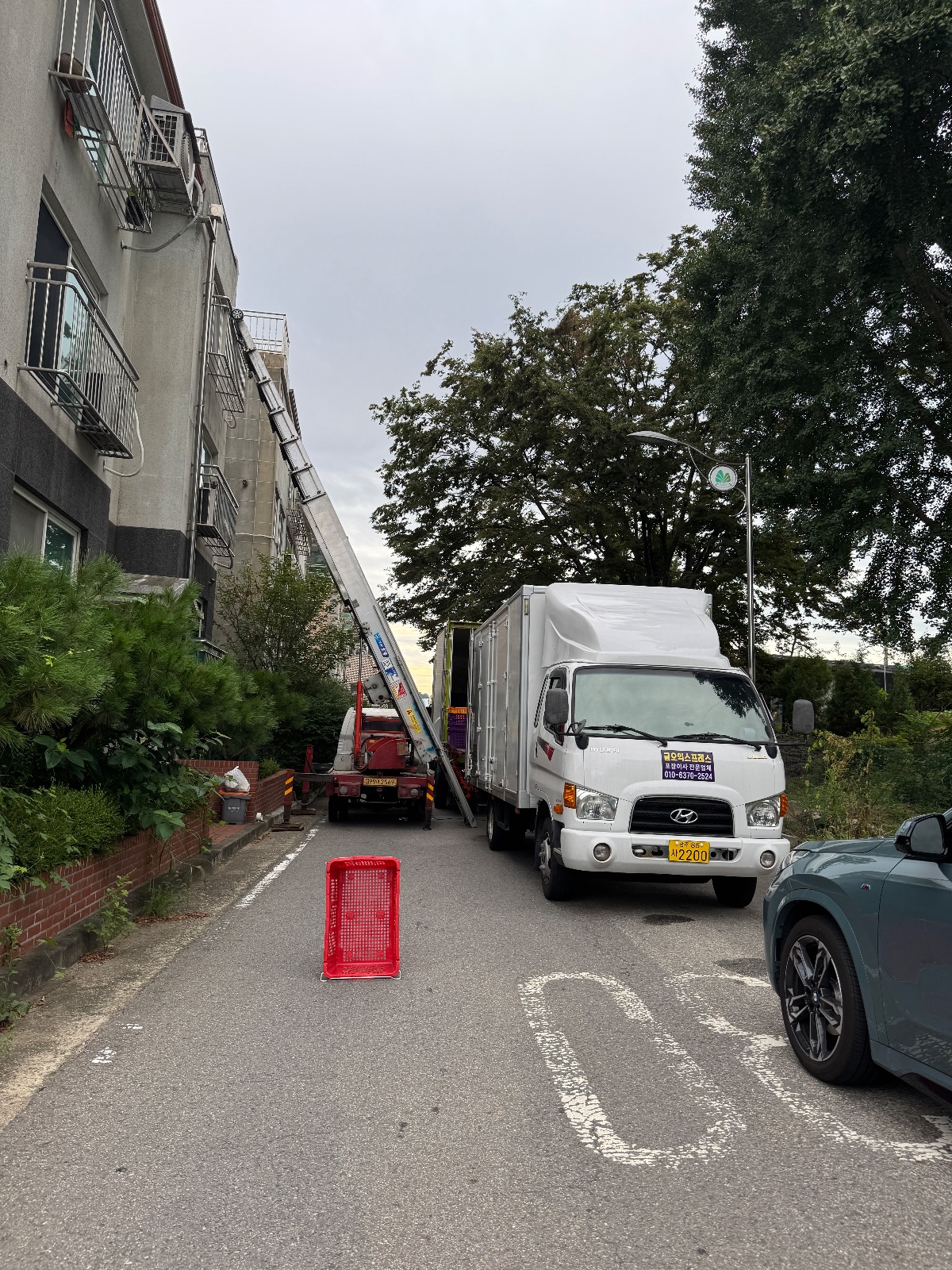 보드라운 별 부엉이 후기 사진 1