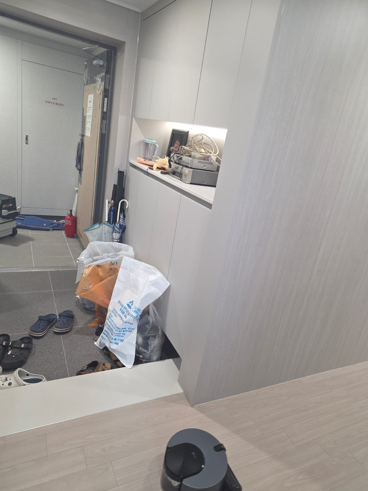다부진 보름달 치타 후기 사진 1