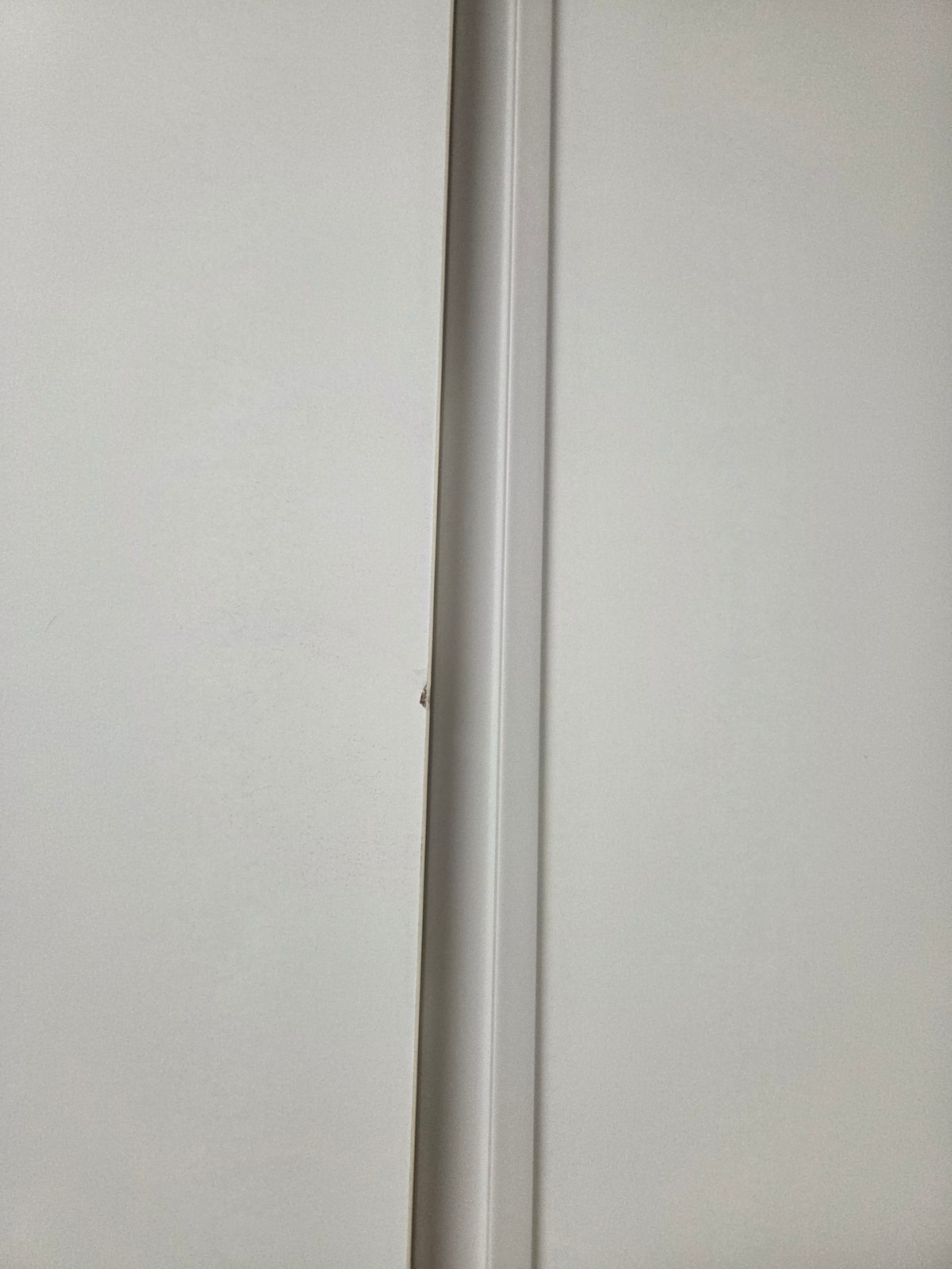 활기찬 바람 미어캣 후기 사진 1