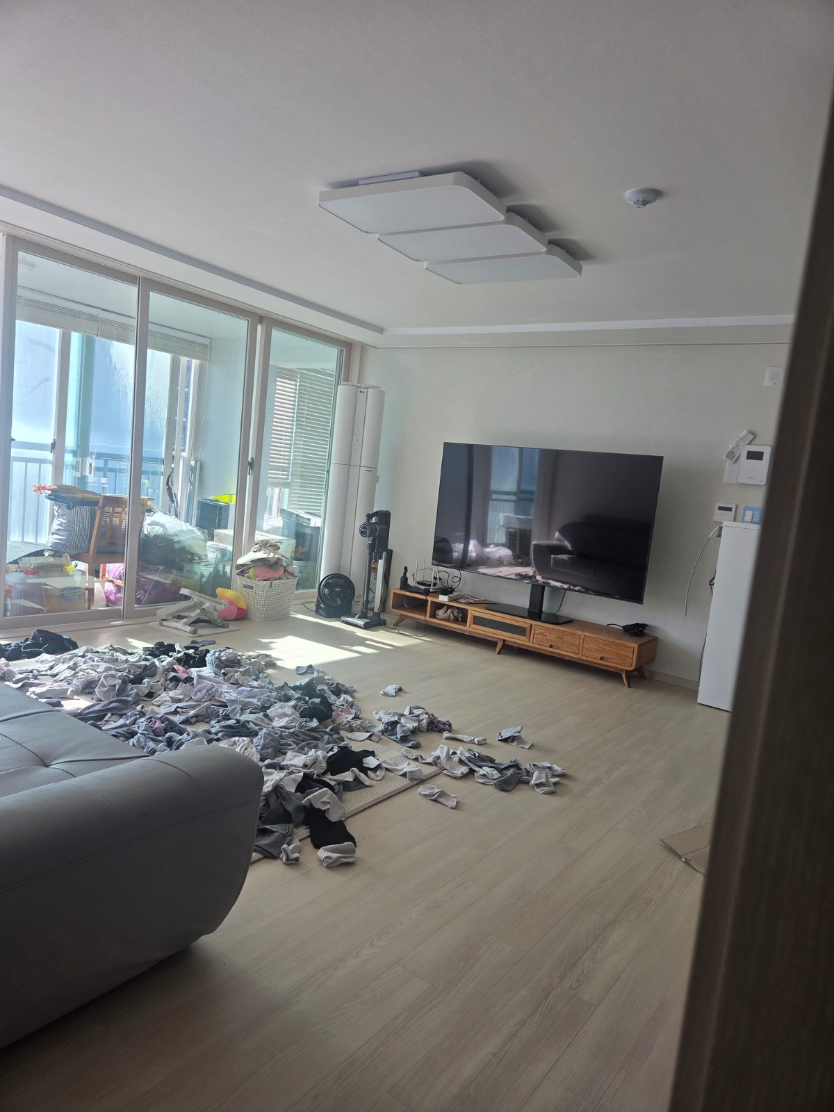 상쾌한 파도 거북이 후기 사진 1