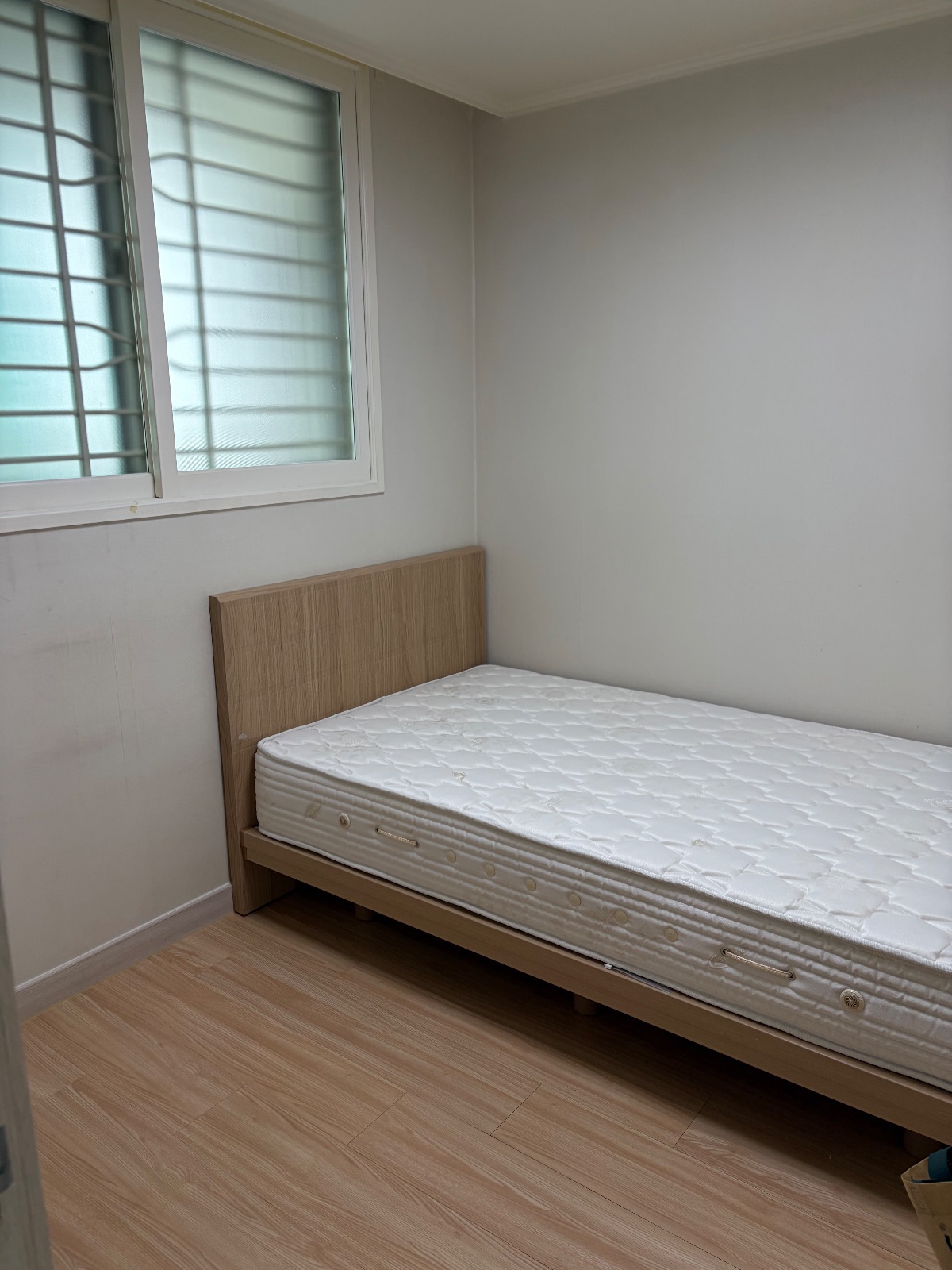흐뭇한 산들 물범 후기 사진 1