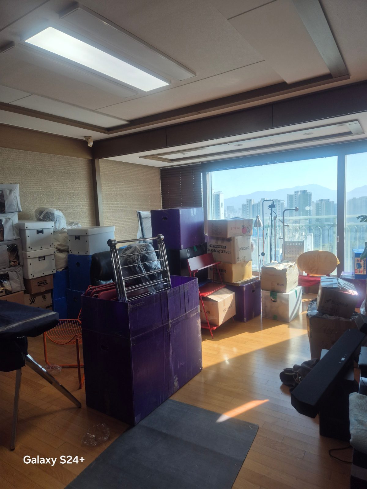 꼼꼼한 햇살 기린 후기 사진 1