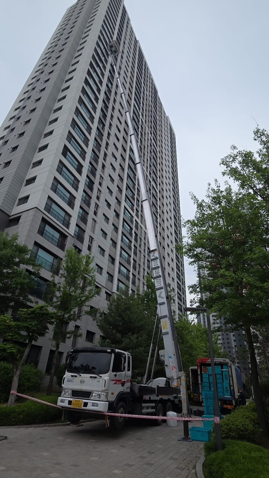 씩씩한 햇빛 사슴 후기 사진 1