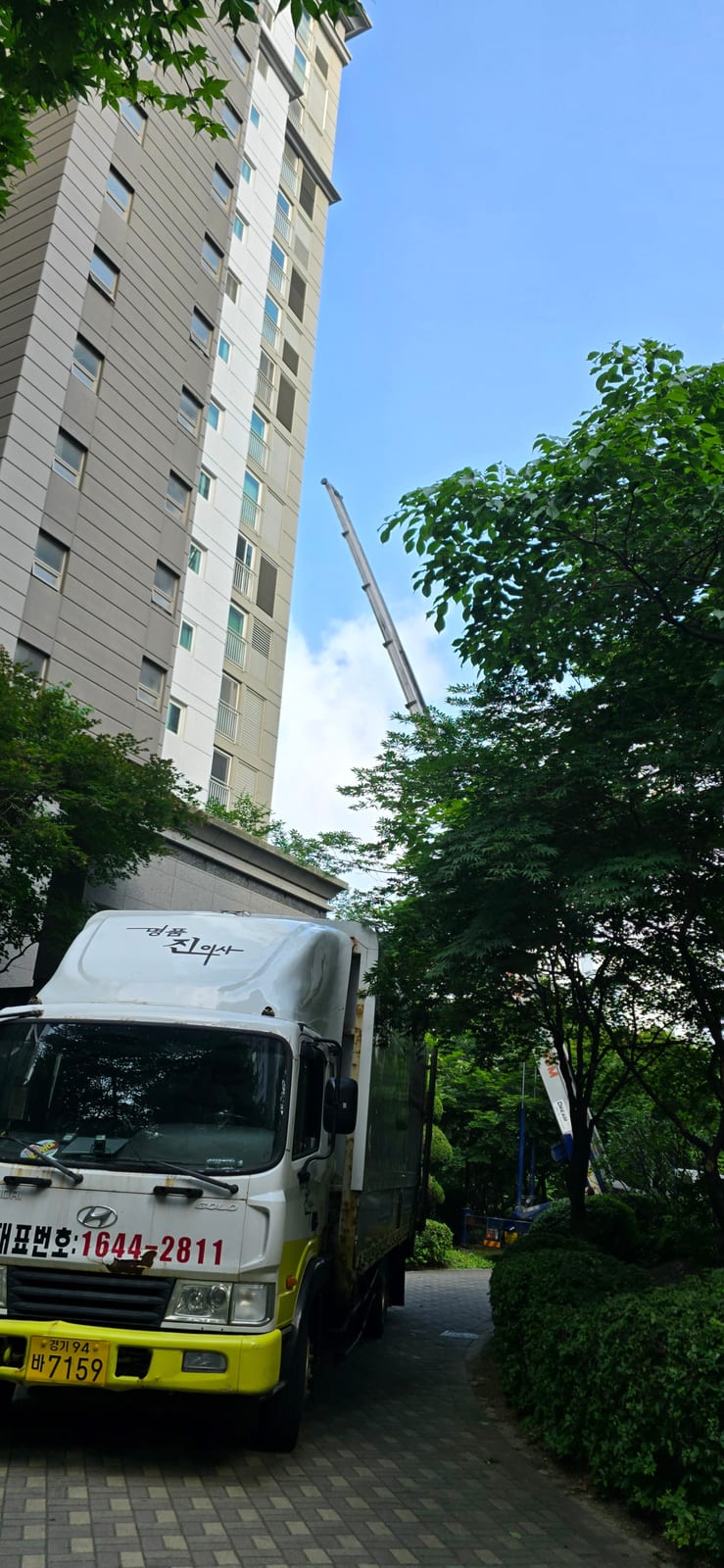 든든한 단풍 가오리 후기 사진 1