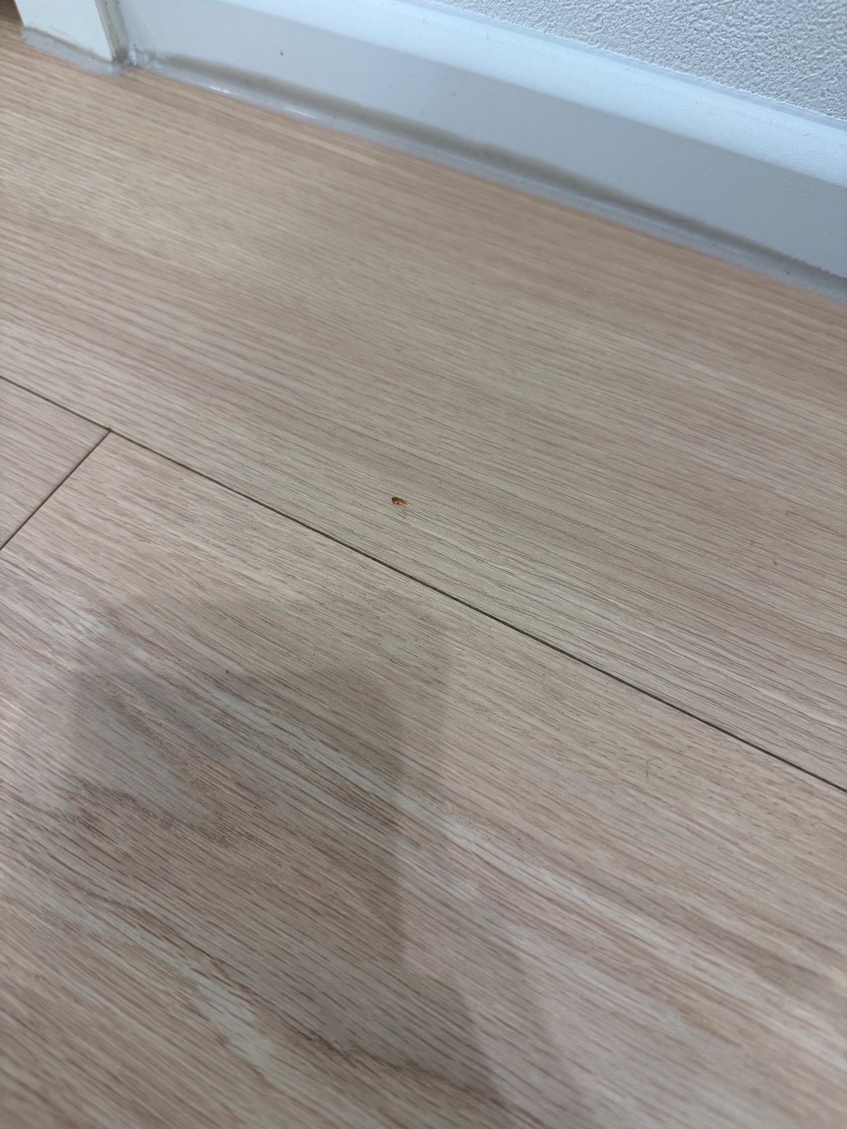 야무진 은하수 해마 후기 사진 1