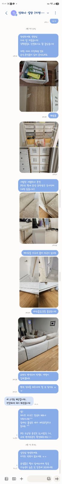 날쌘 단풍 소라게 후기 사진 1