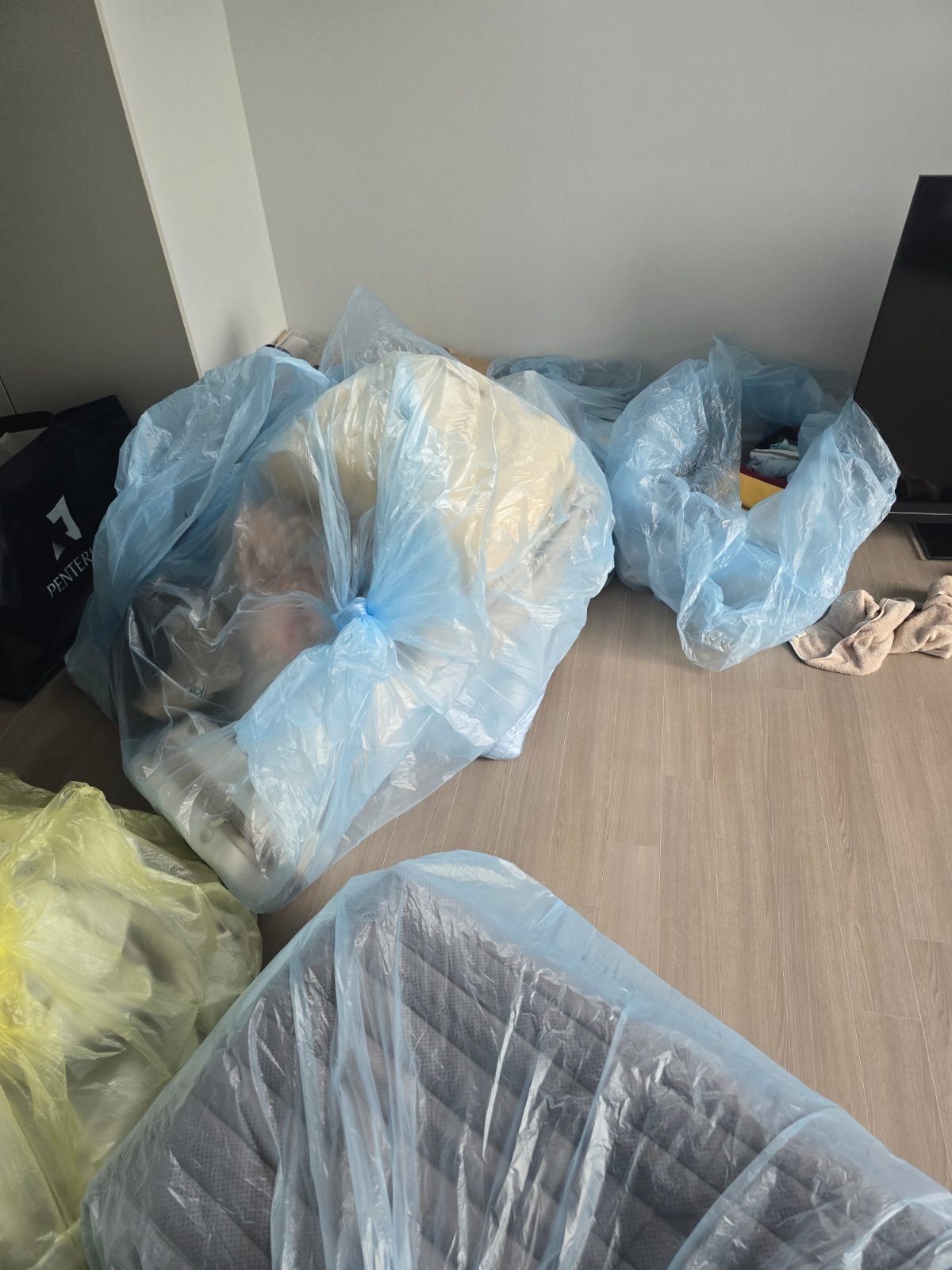 말끔한 별 늑대 후기 사진 1