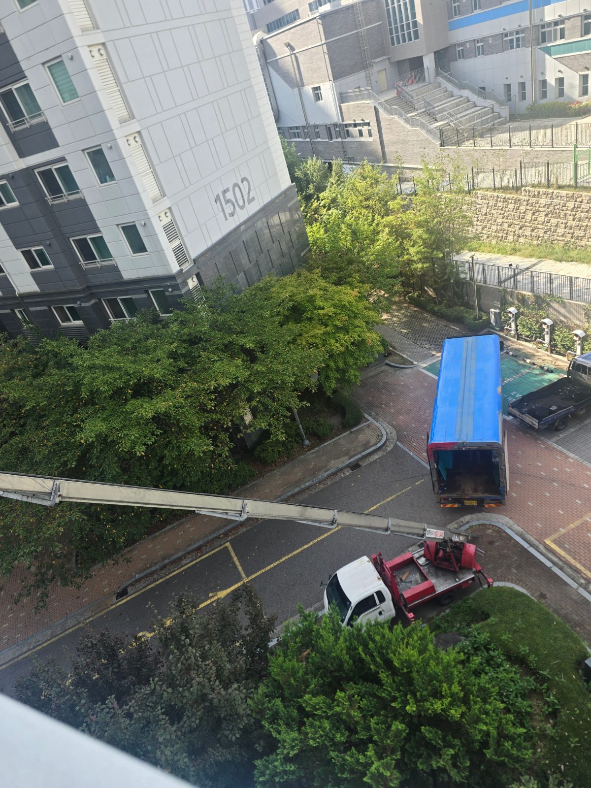 성실한 첫눈 북극곰 후기 사진 1