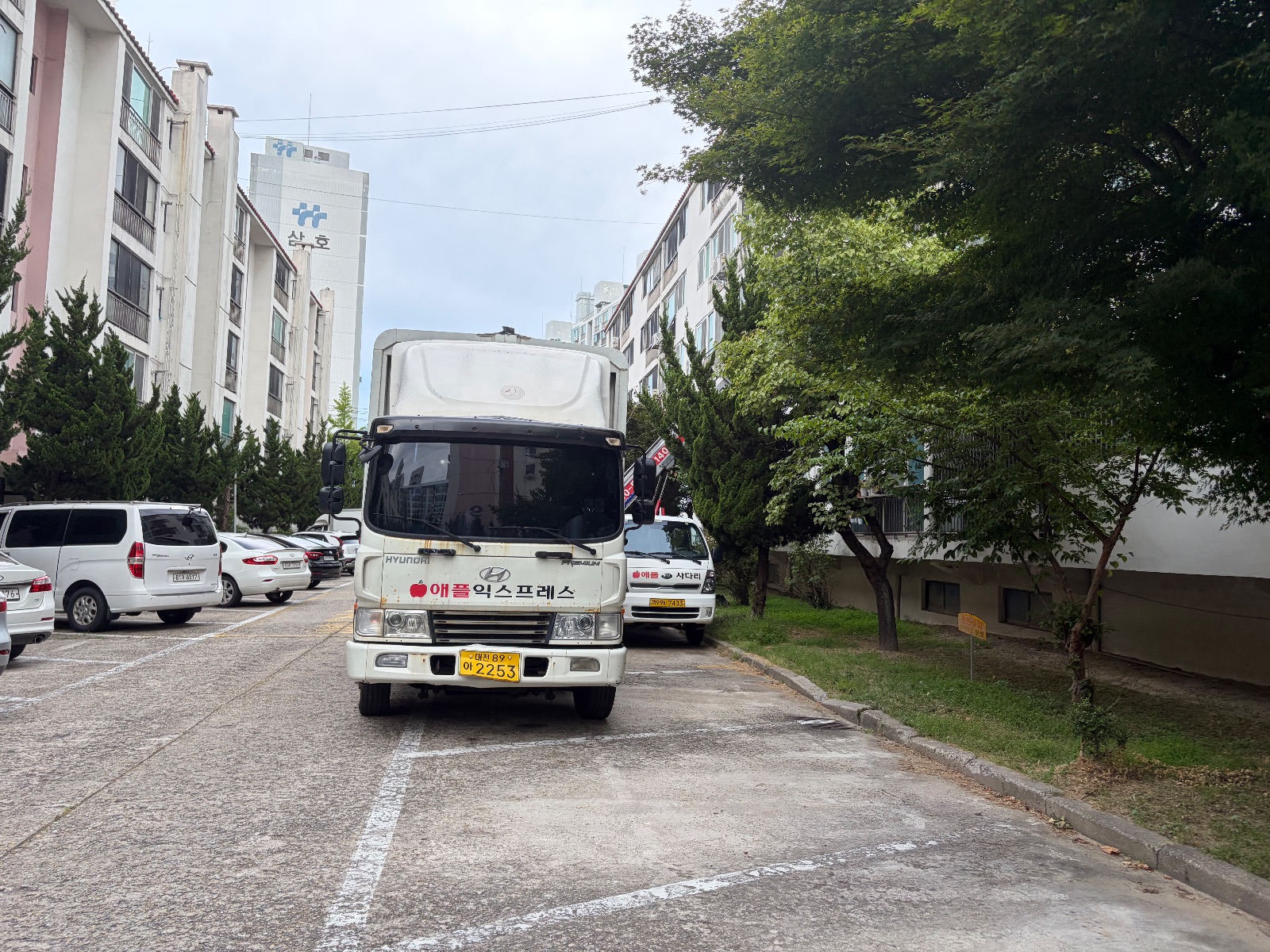 가뿐한 대나무 해마 후기 사진 4