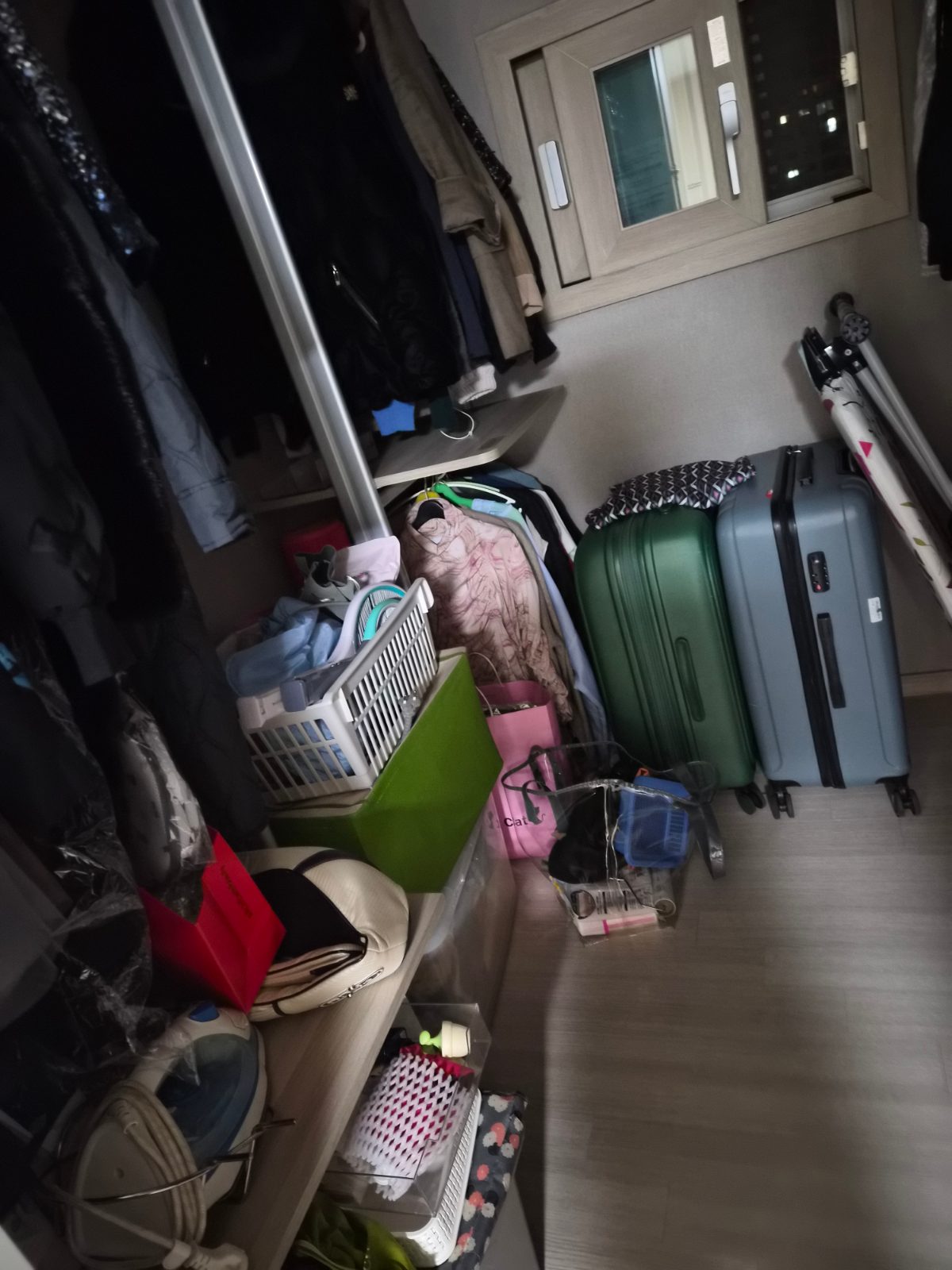 싱그러운 민들레 물범 후기 사진 3