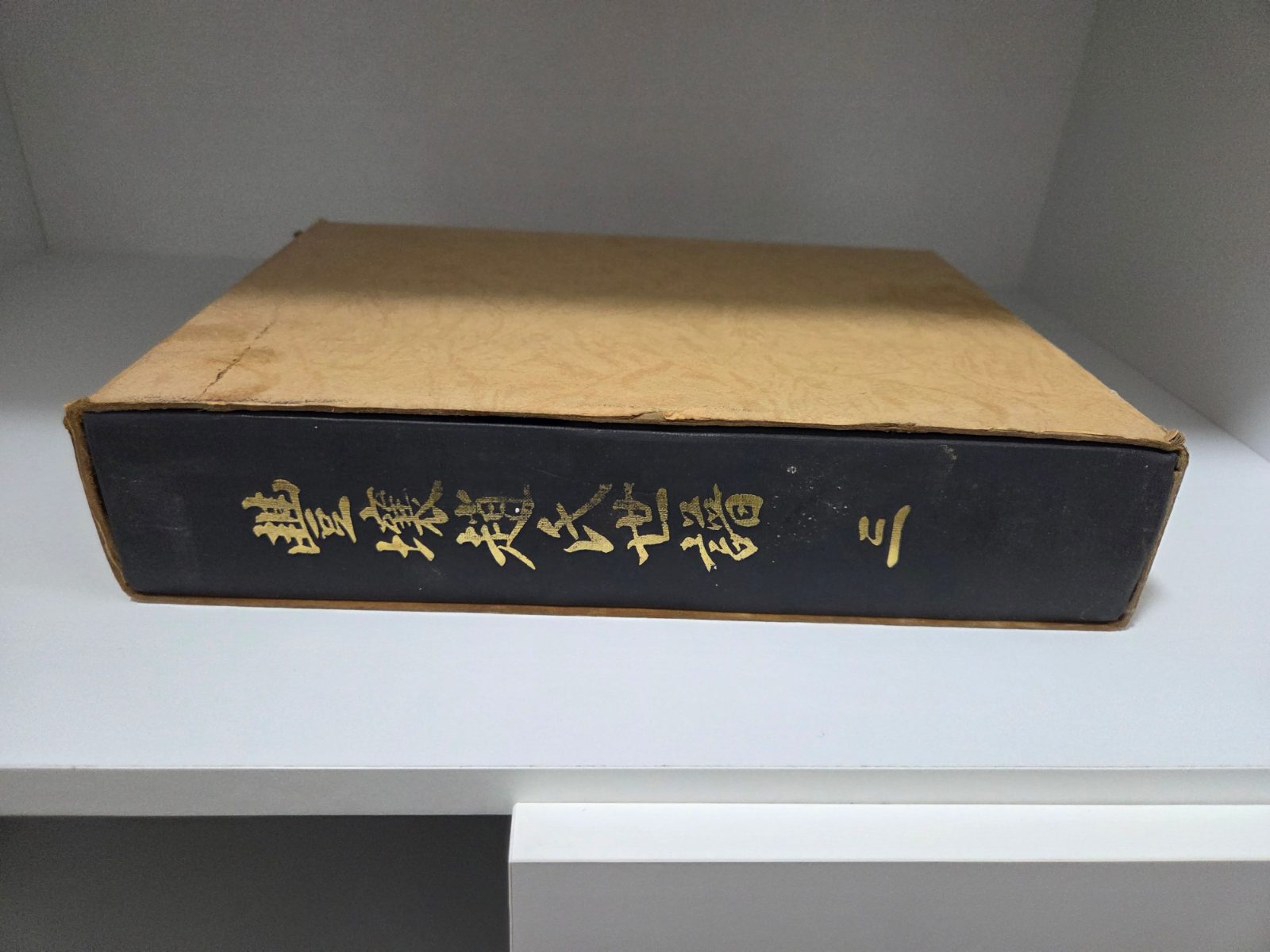 씩씩한 파도 토끼 후기 사진 2