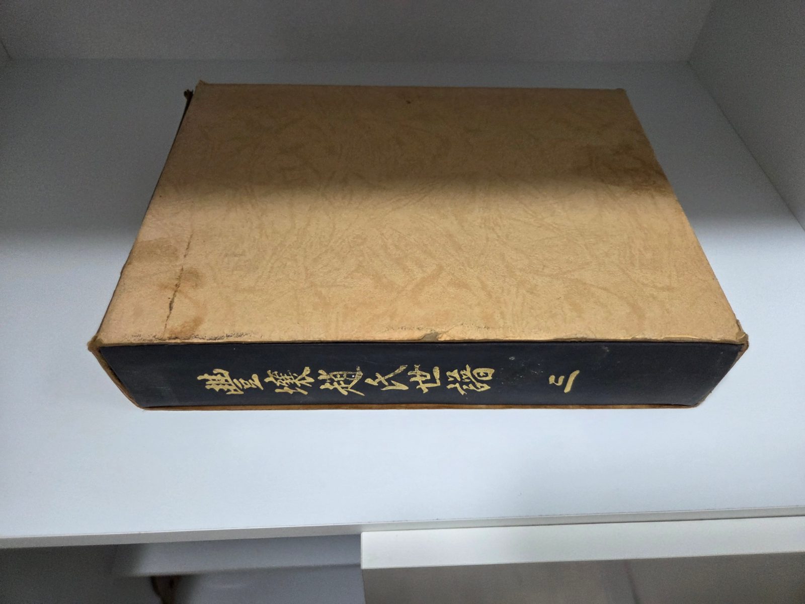 씩씩한 파도 토끼 후기 사진 1