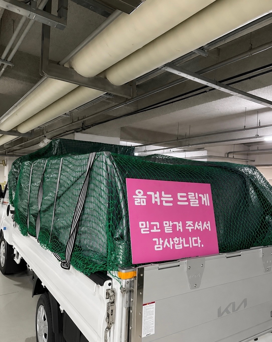 늠름한 새벽 수리부엉이 후기 사진 1