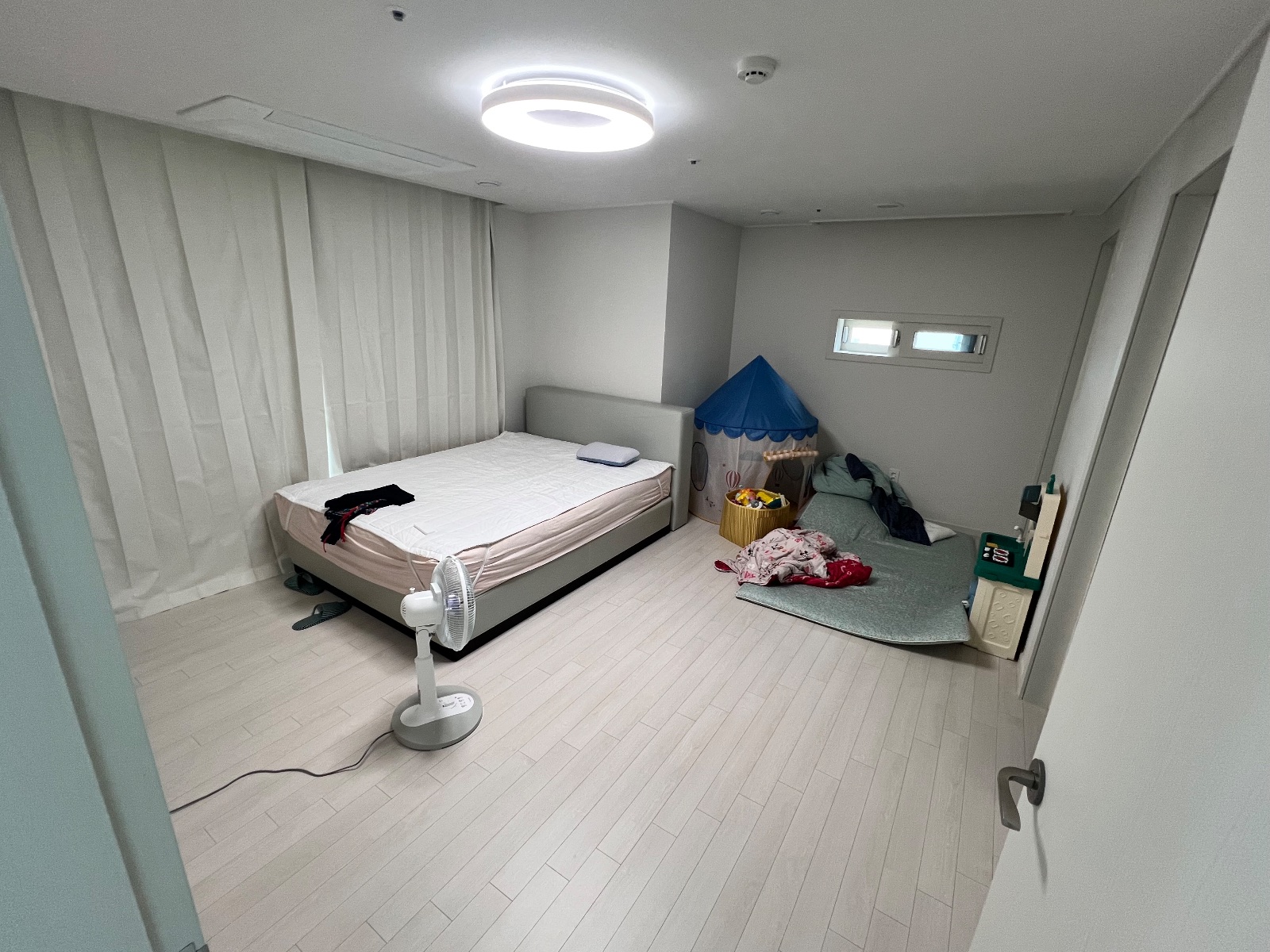 싱그러운 솔잎 다람쥐 후기 사진 1